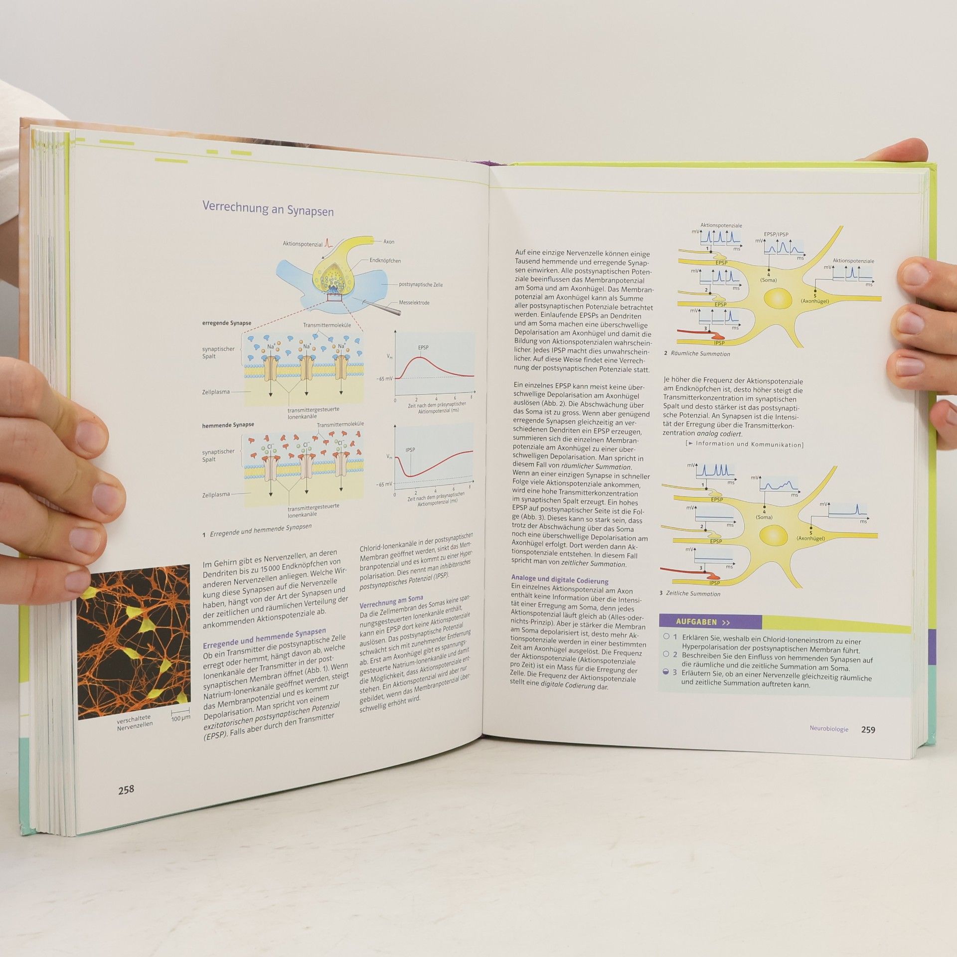 Natura 9-12 - Grundlagen der Biologie für Schweizer Maturitätsschulen