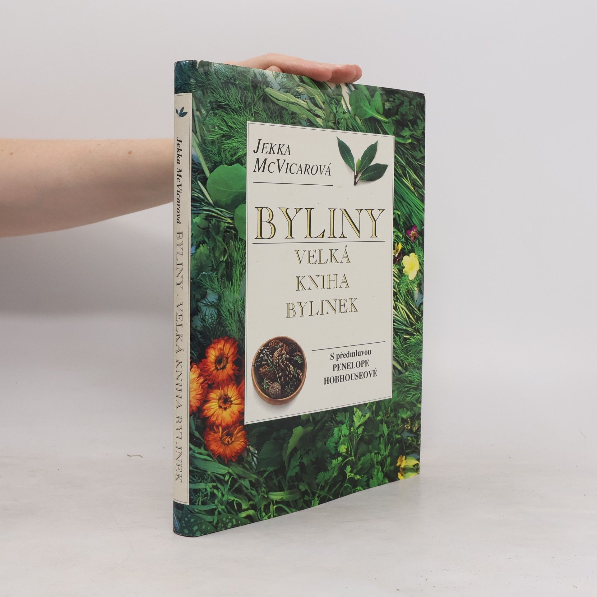 Penelope Hobhouse Byliny: velká kniha bylinek