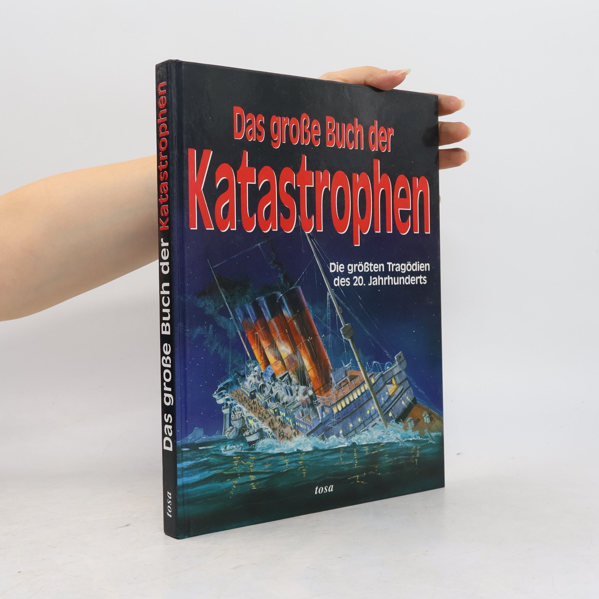Sabine Kurz Das grosse Buch der Katastrophen