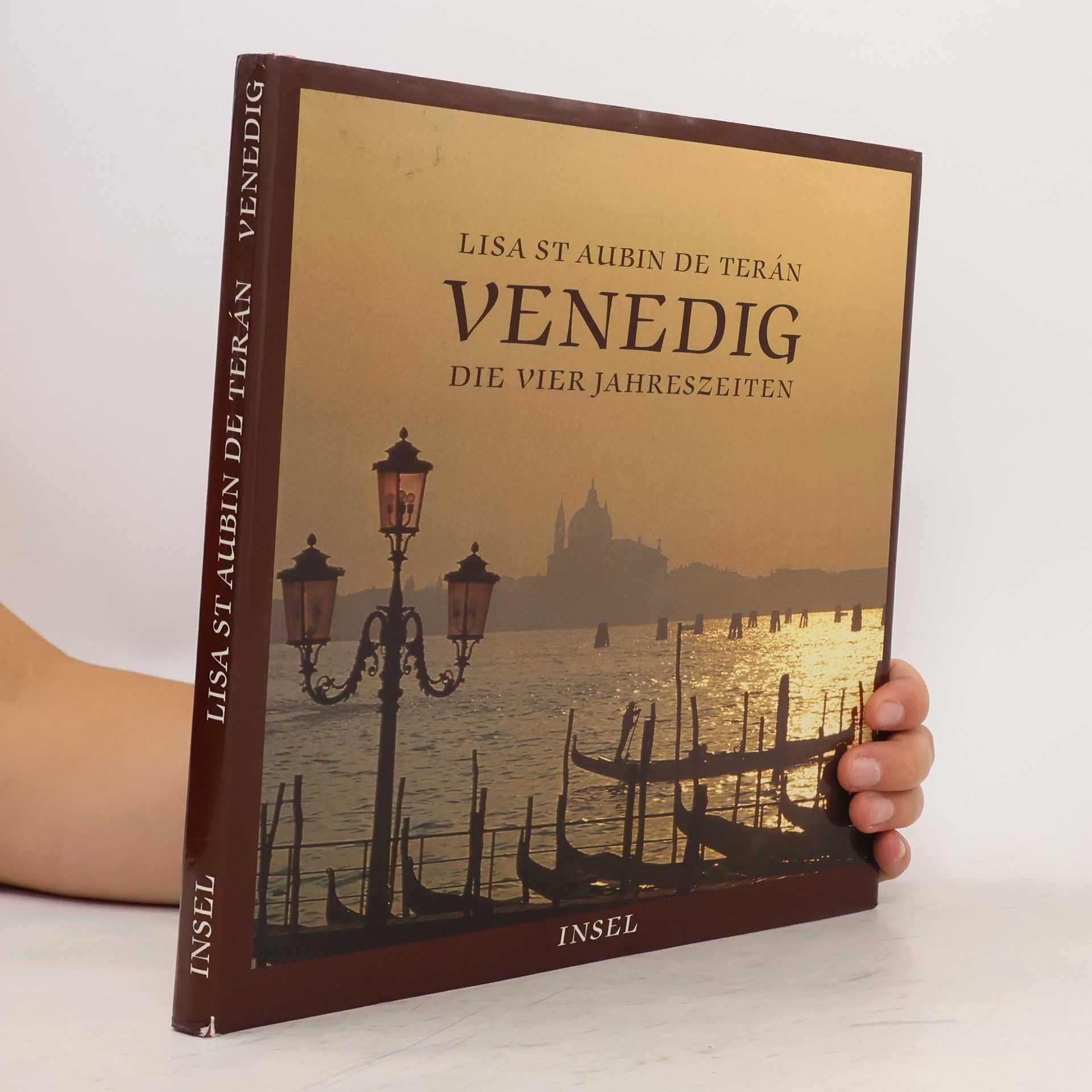 Lisa St. Aubin de Terán Venedig
