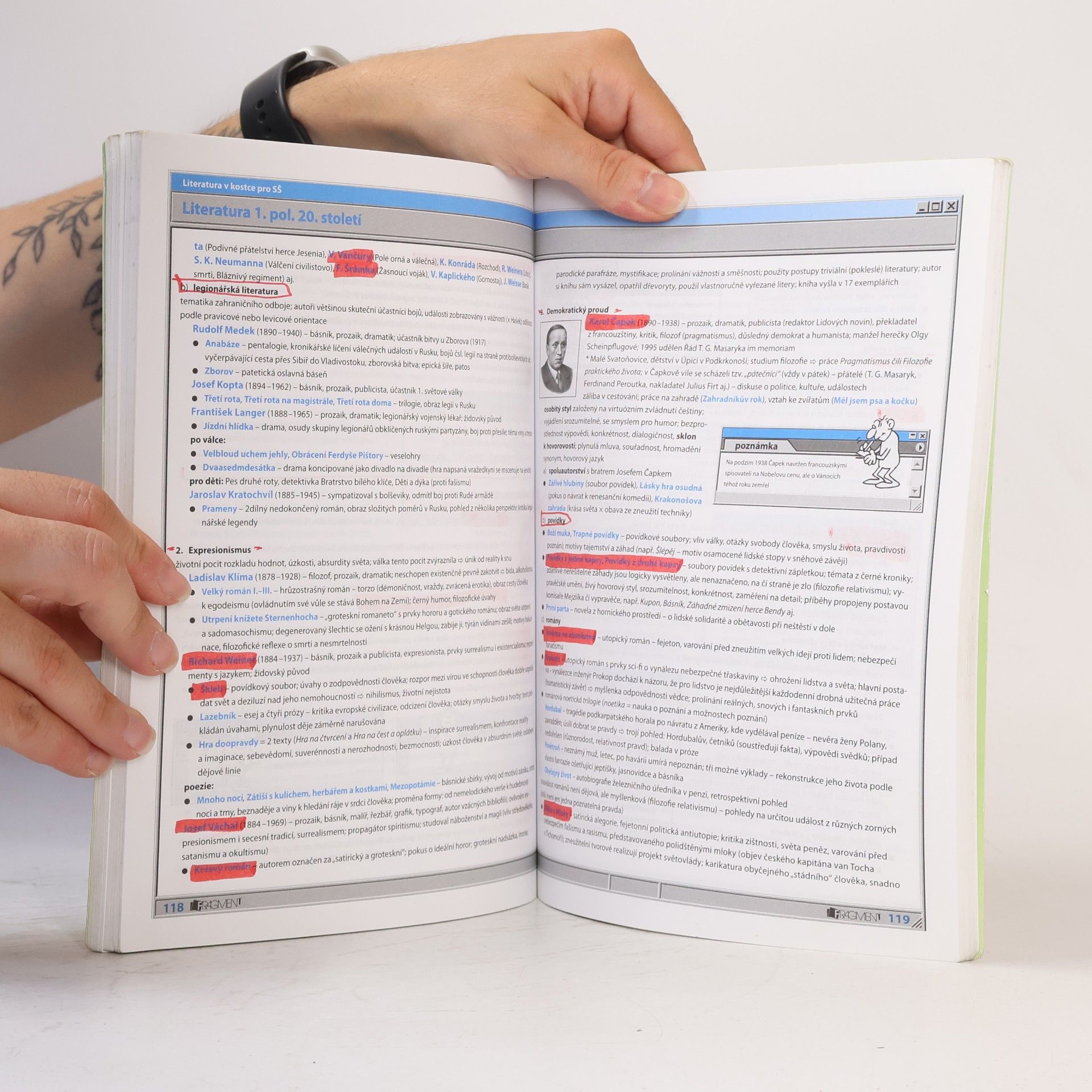 Marie Sochrová Literatura v kostce : pro střední školy