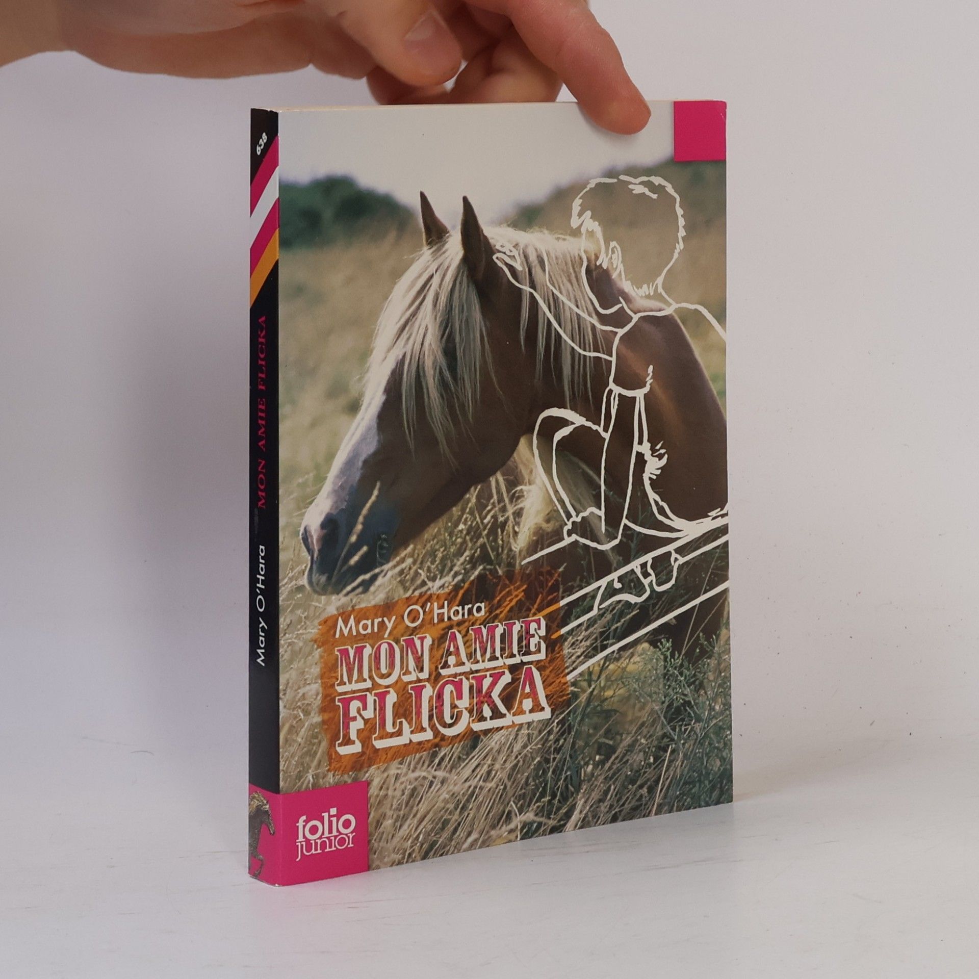 Mary O'Hara Folio junior: Mon amie Flicka