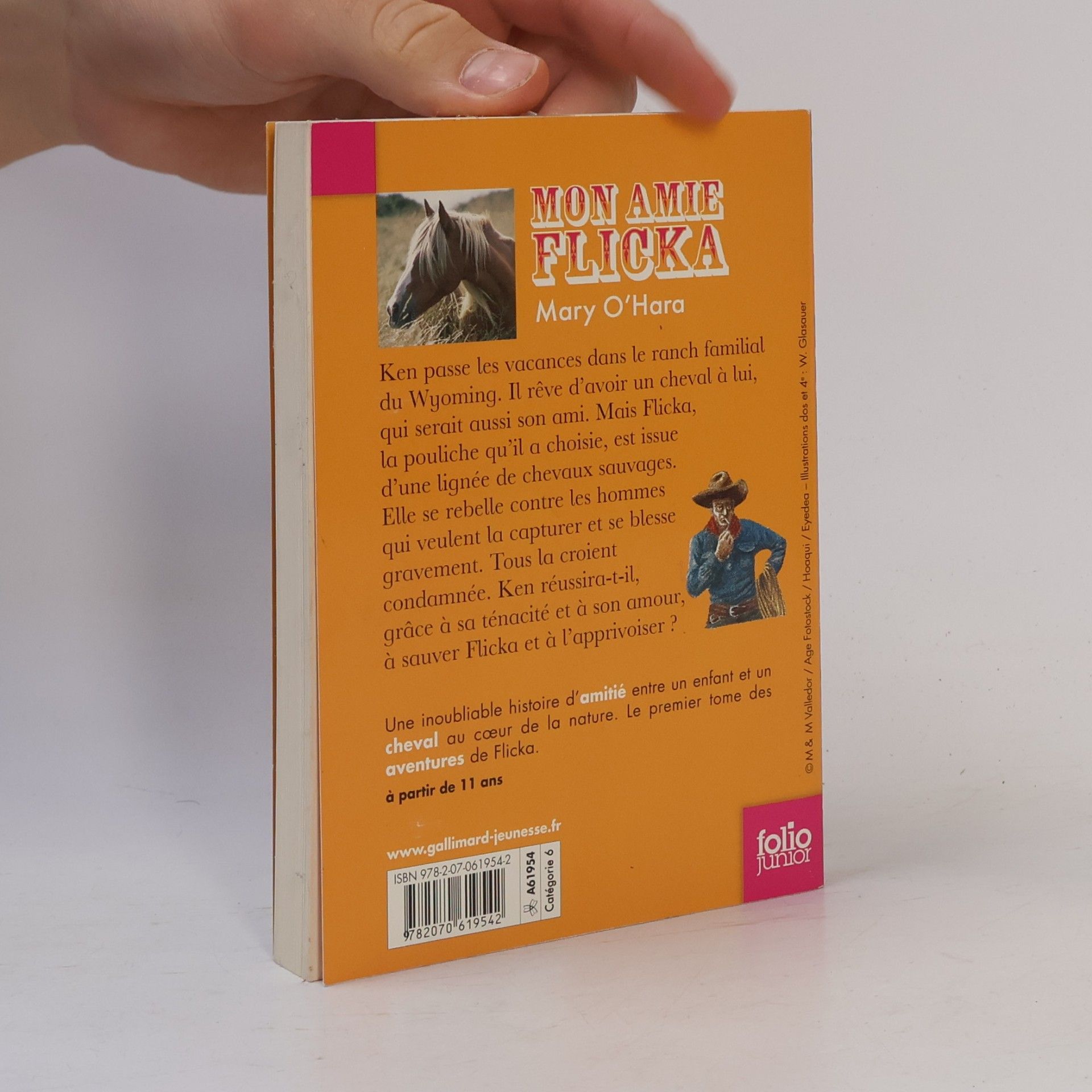 Mary O'Hara Folio junior: Mon amie Flicka