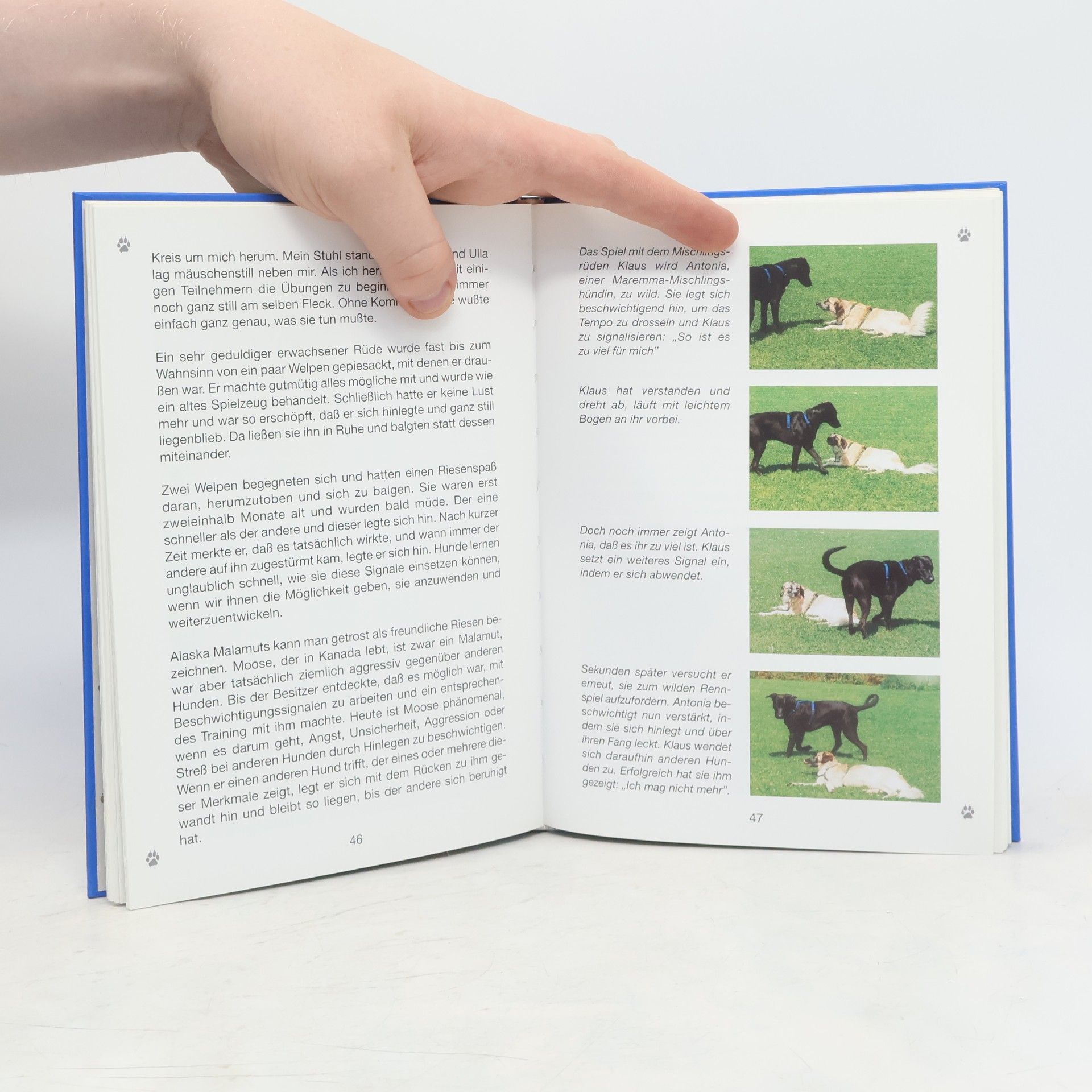 Turid Rugaas Calming signals. Die Beschwichtigungssignale der Hunde