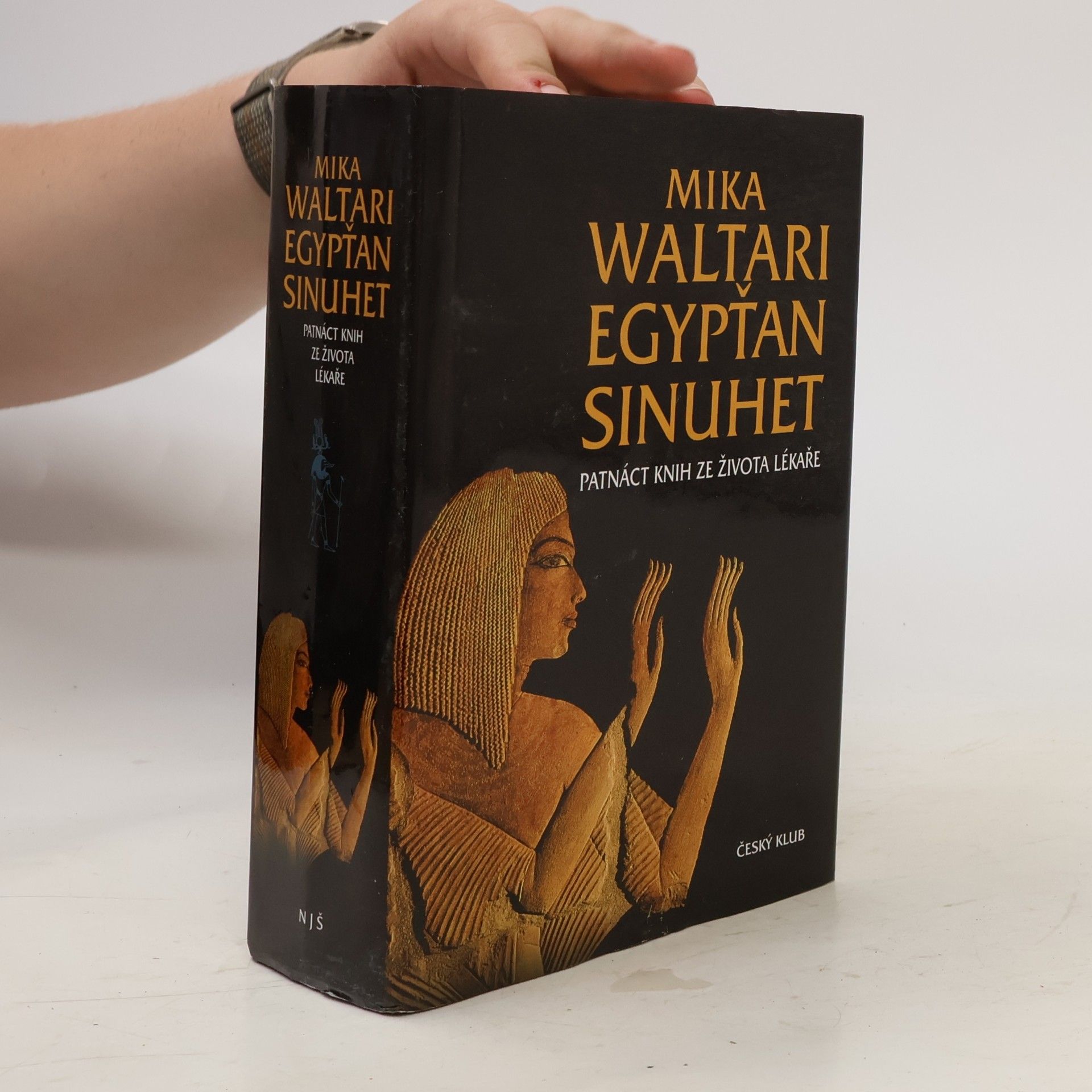 Mika Waltari Egypťan Sinuhet : patnáct knih ze života lékaře