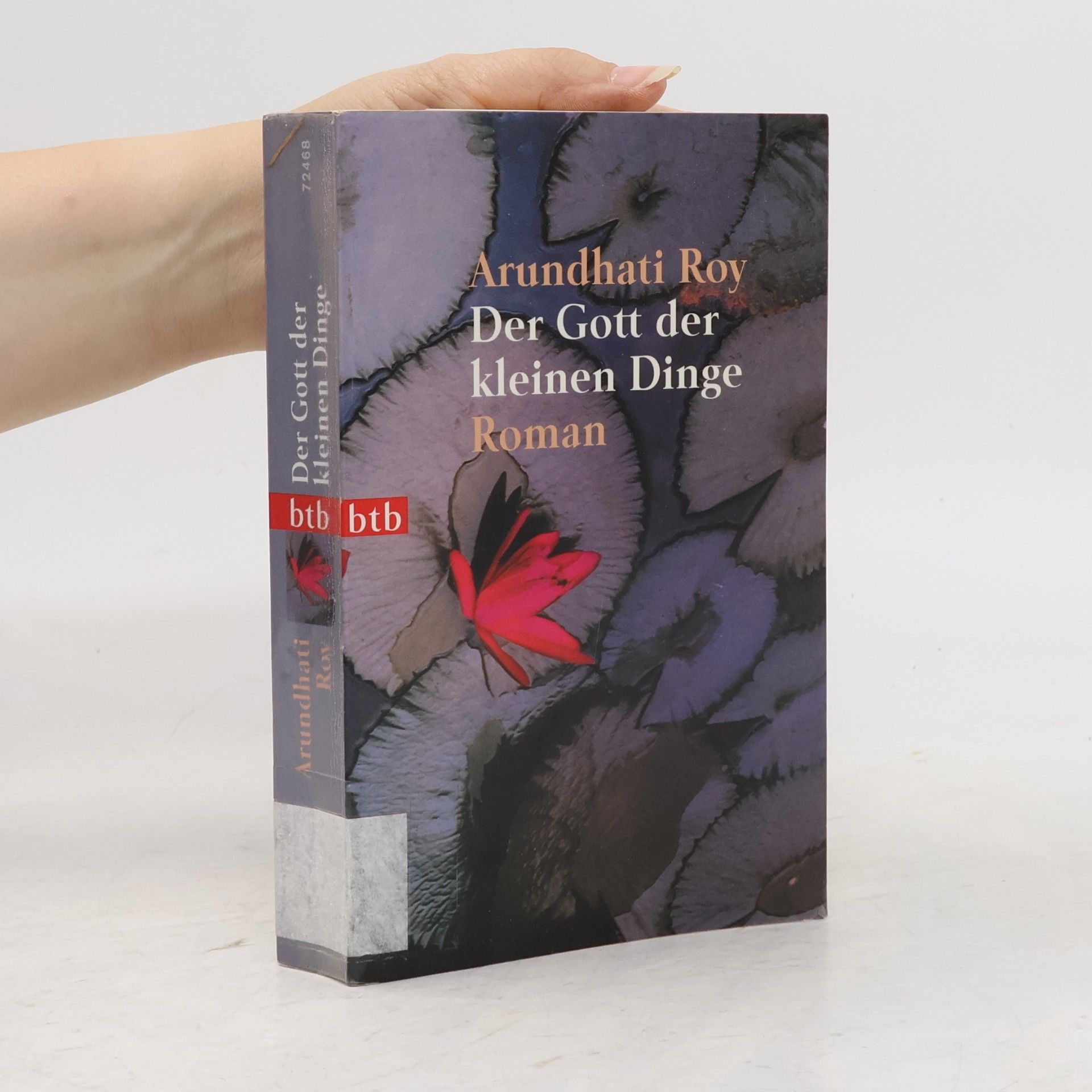 Arundhati Roy Der Gott der kleinen Dinge