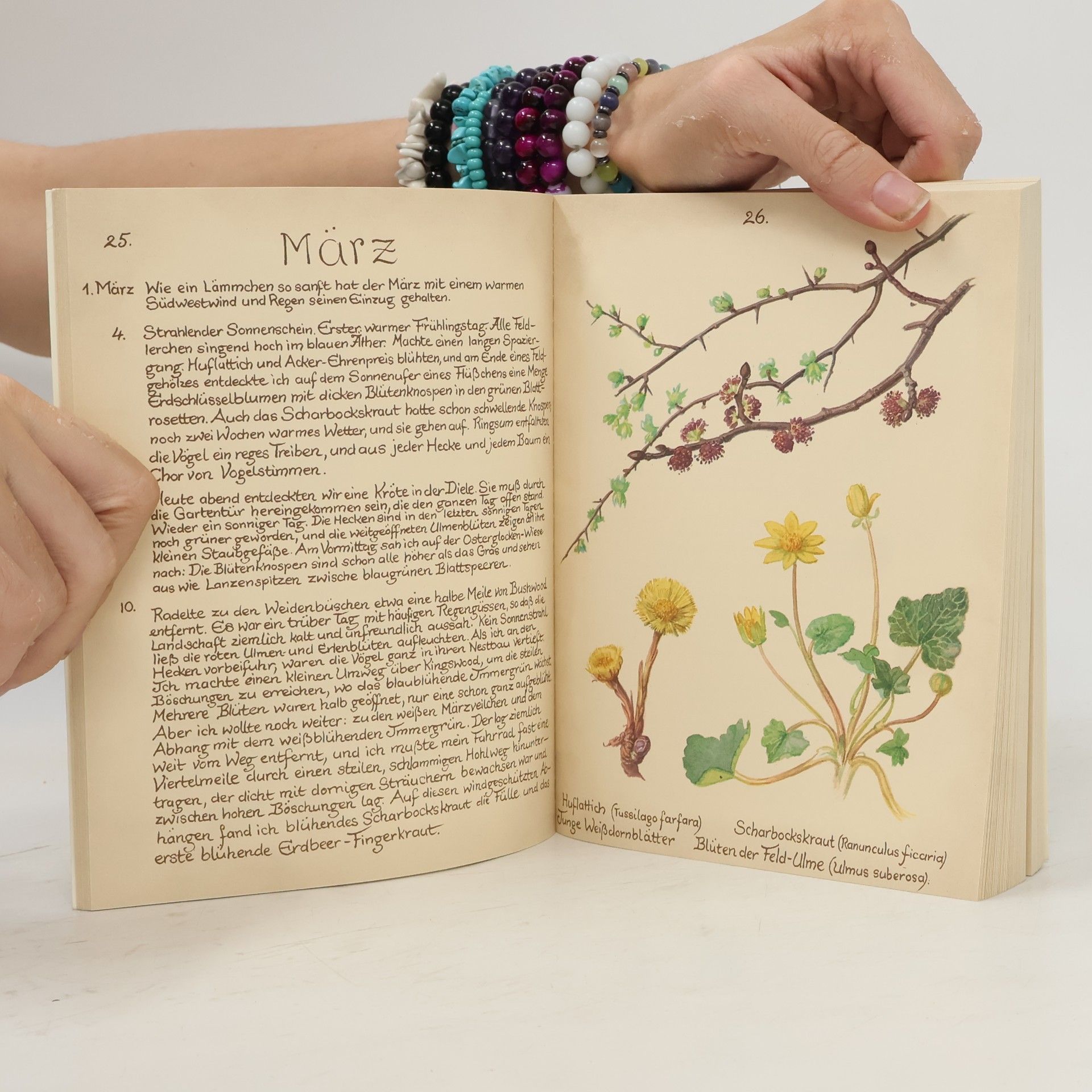 Edith Holden Vom Glück mit der Natur zu leben