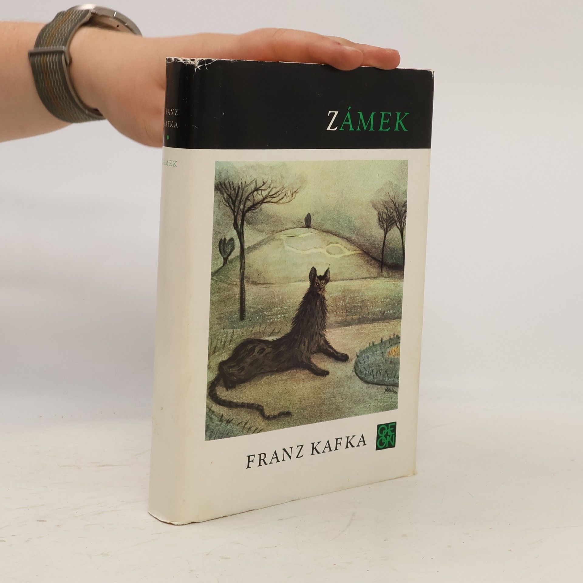 Franz Kafka Zámek