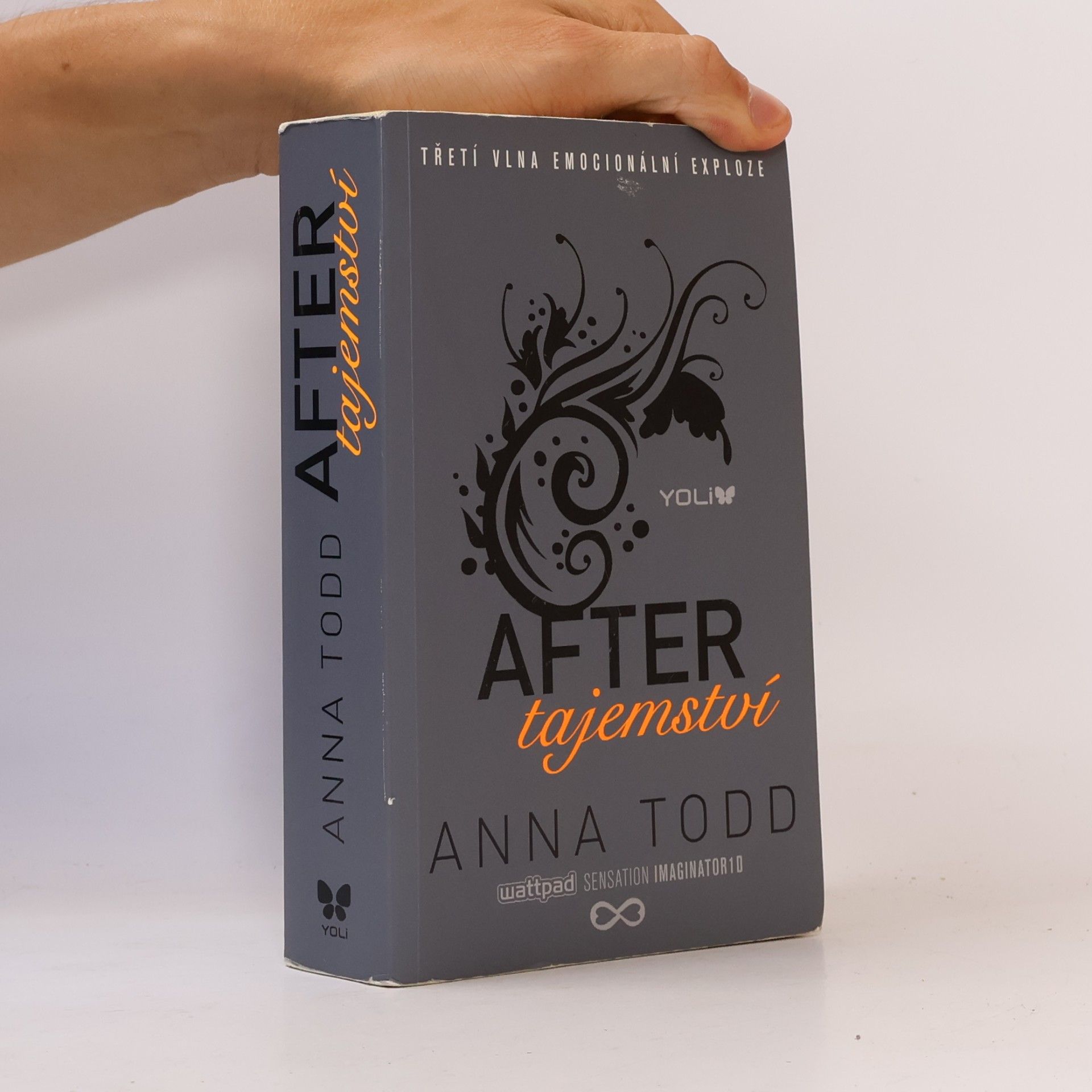 Anna Todd After. Tajemství