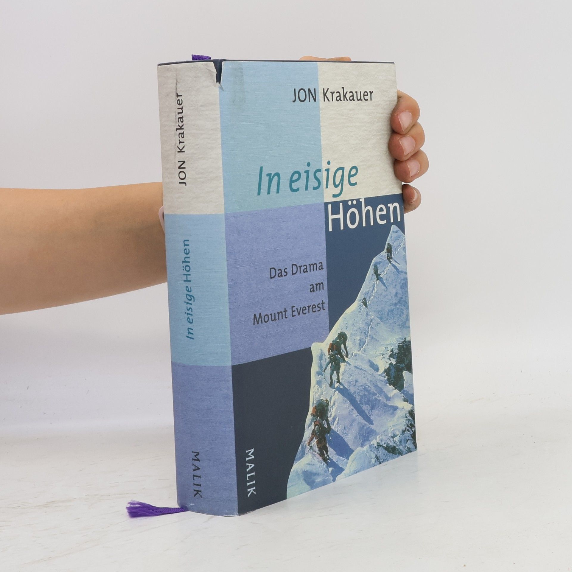 Jon Krakauer In eisige Höhen