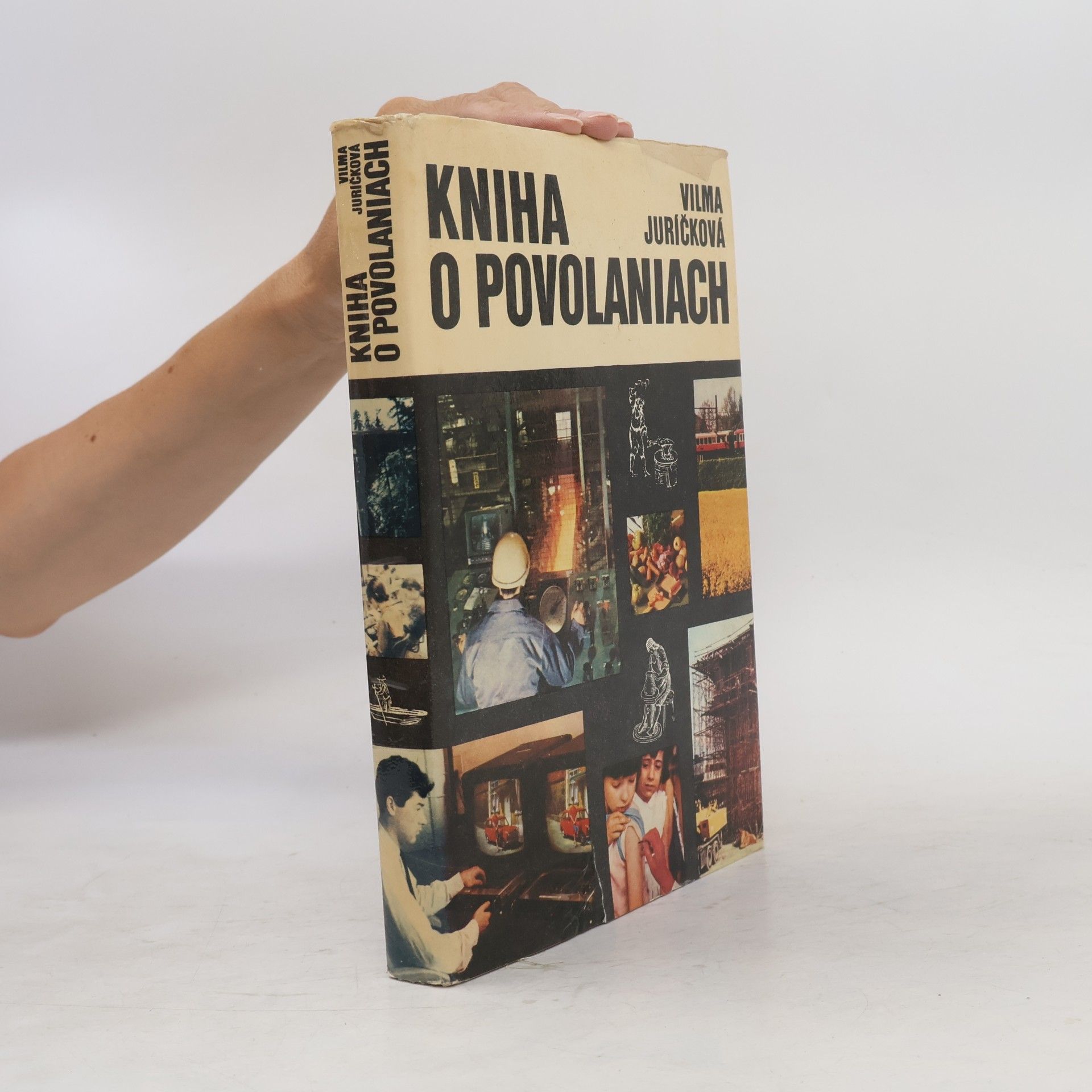 Vilma Juríčková  Kniha o povolaniach