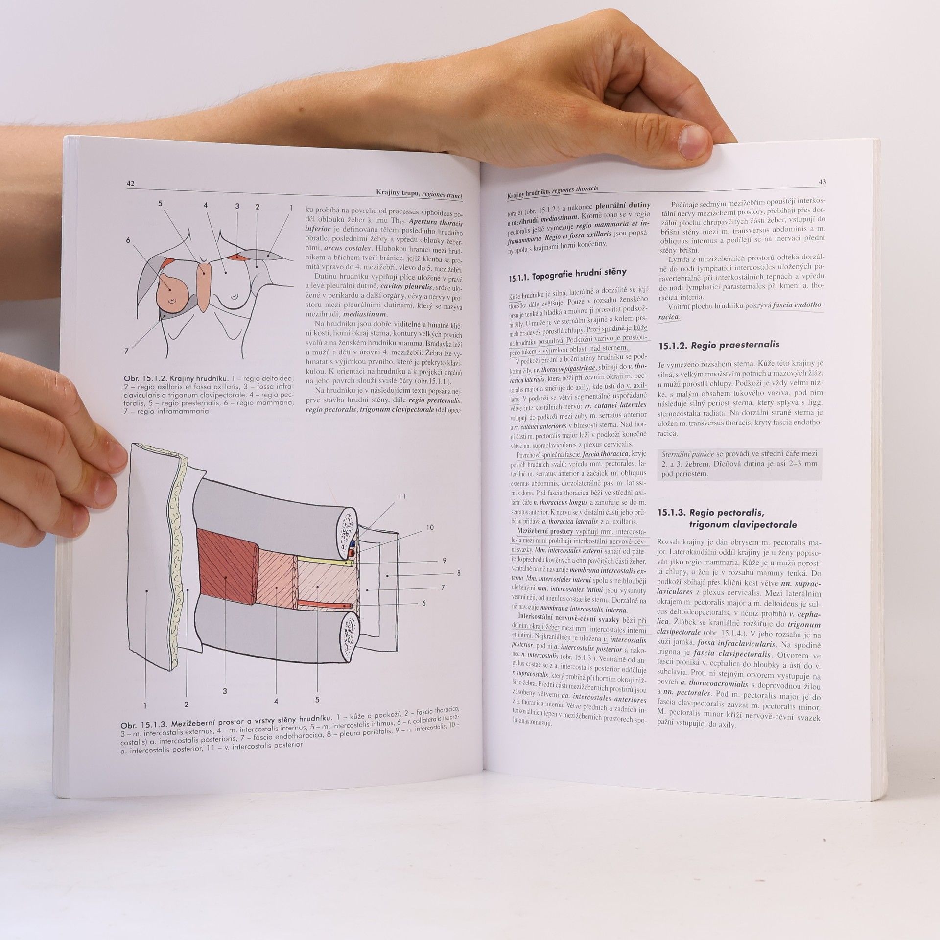 Miloš Grim Základy anatomie. 5., Anatomie krajin těla