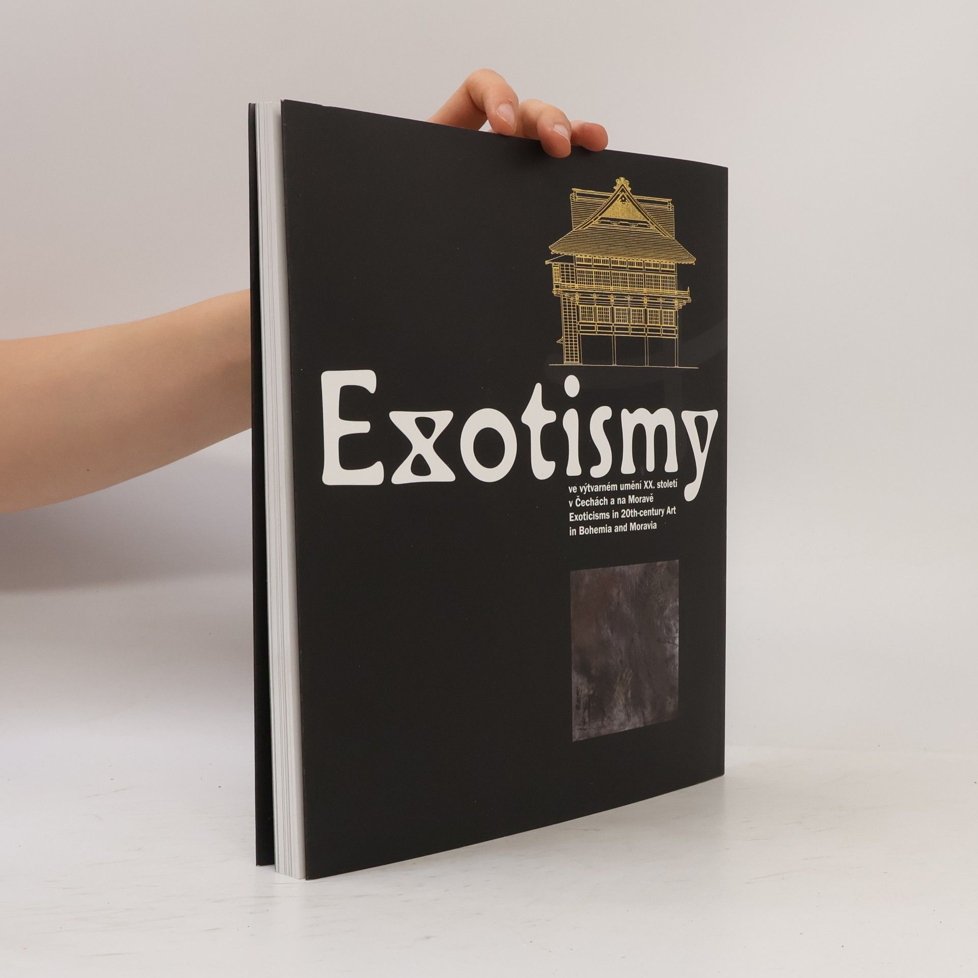 Autorenkollektiv Exotismy ve výtvarném umění XX. století v Čechách a na Moravě