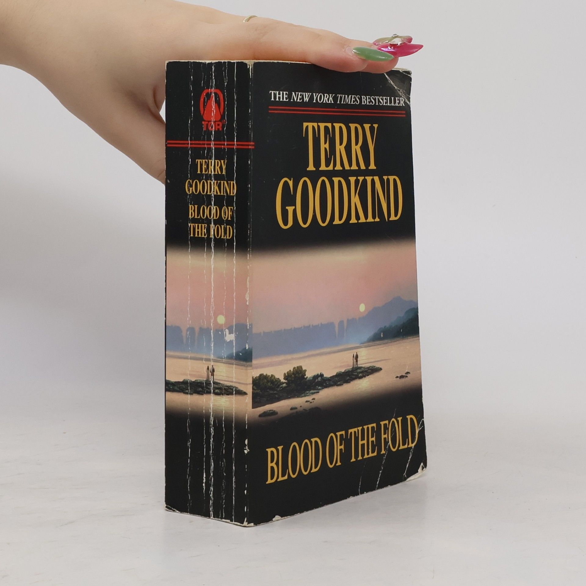 Terry Goodkind Blood of the Fold
