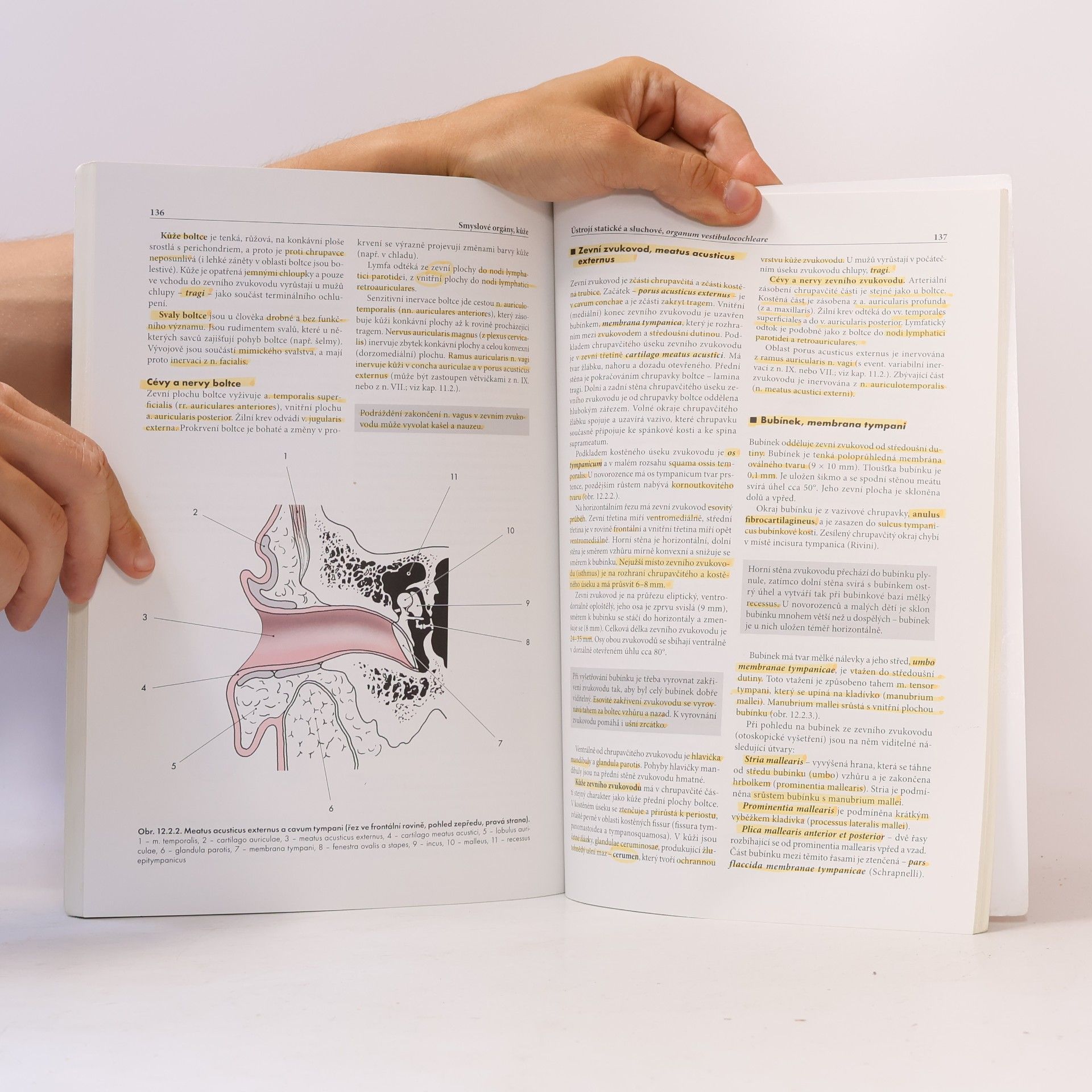 Miloš Grim Základy anatomie 4b.