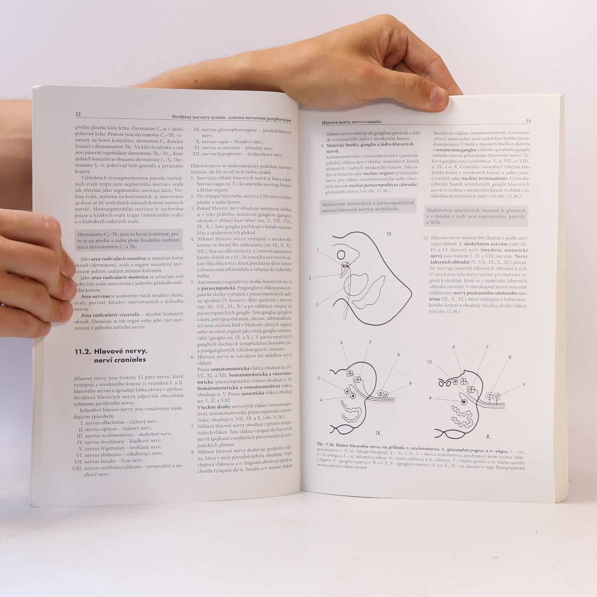 Miloš Grim Základy anatomie 4b.
