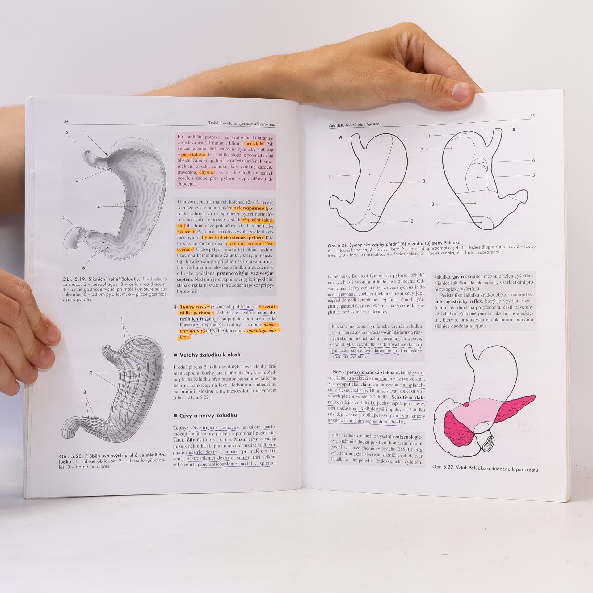 Miloš Grim Základy anatomie 3. Trávicí, dýchací, močopohlavní a endokrinní systém