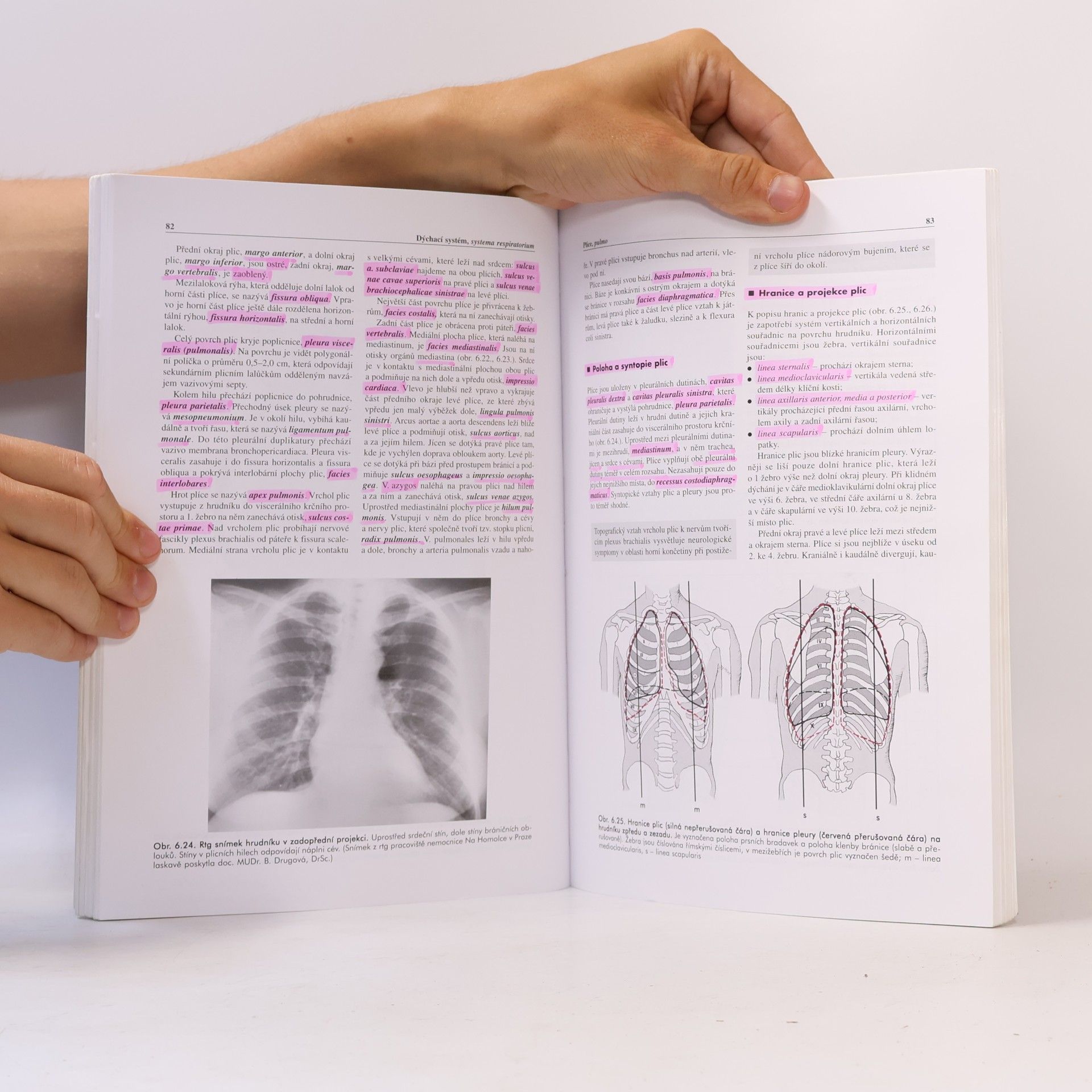 Miloš Grim Základy anatomie 3. Trávicí, dýchací, močopohlavní a endokrinní systém