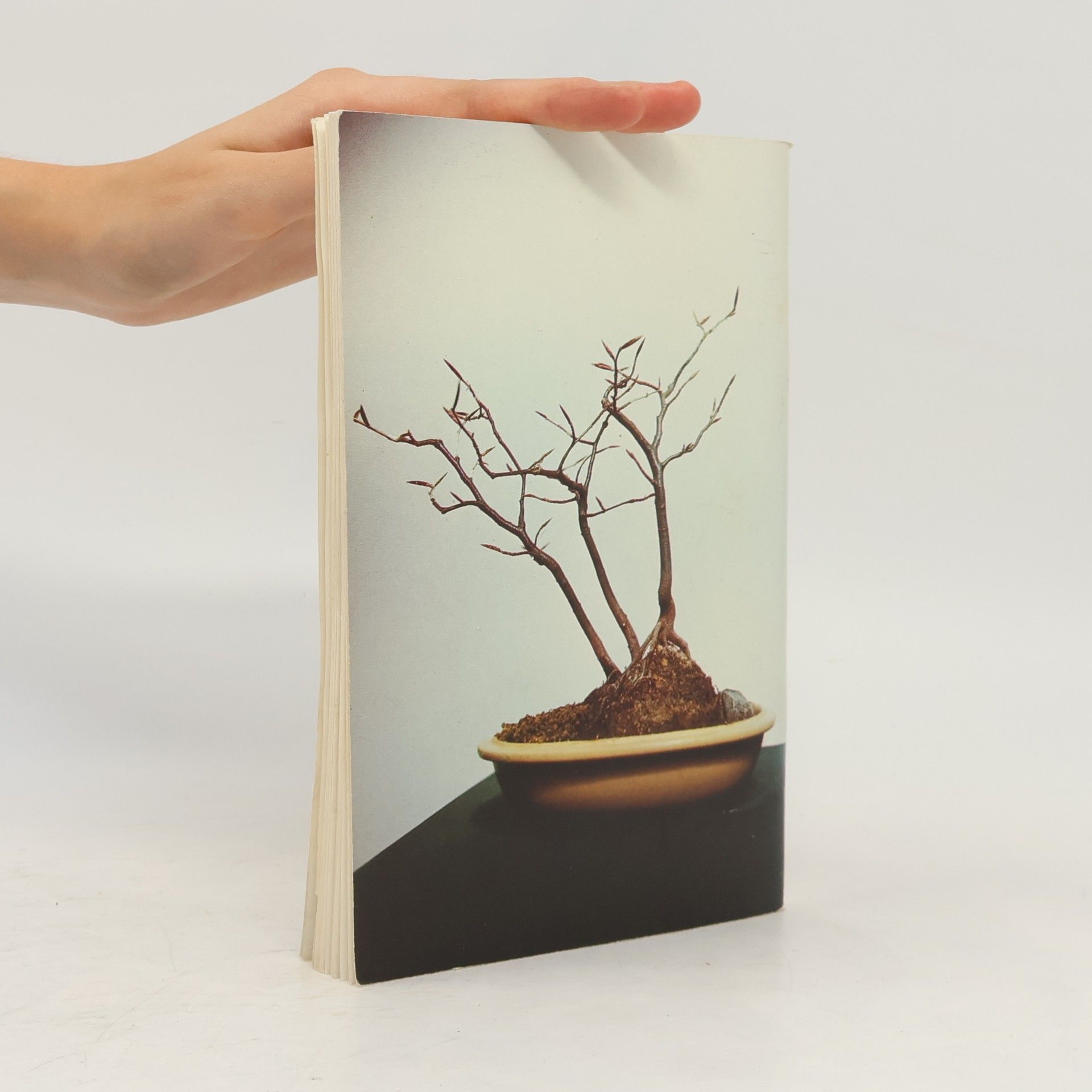 Milan Peter Bonsai - moja záluba, 1. díl