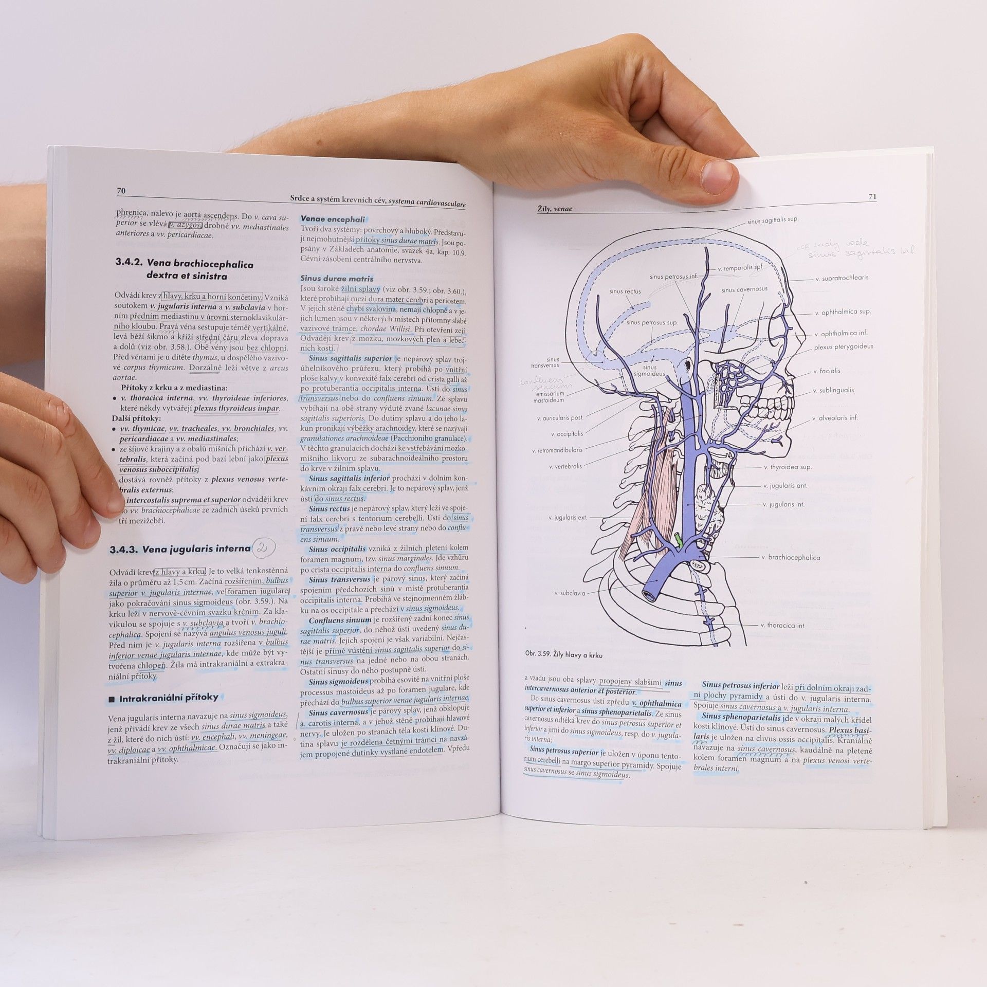 Miloš Grim Základy anatomie. 2., Kardiovaskulární a lymfatický systém