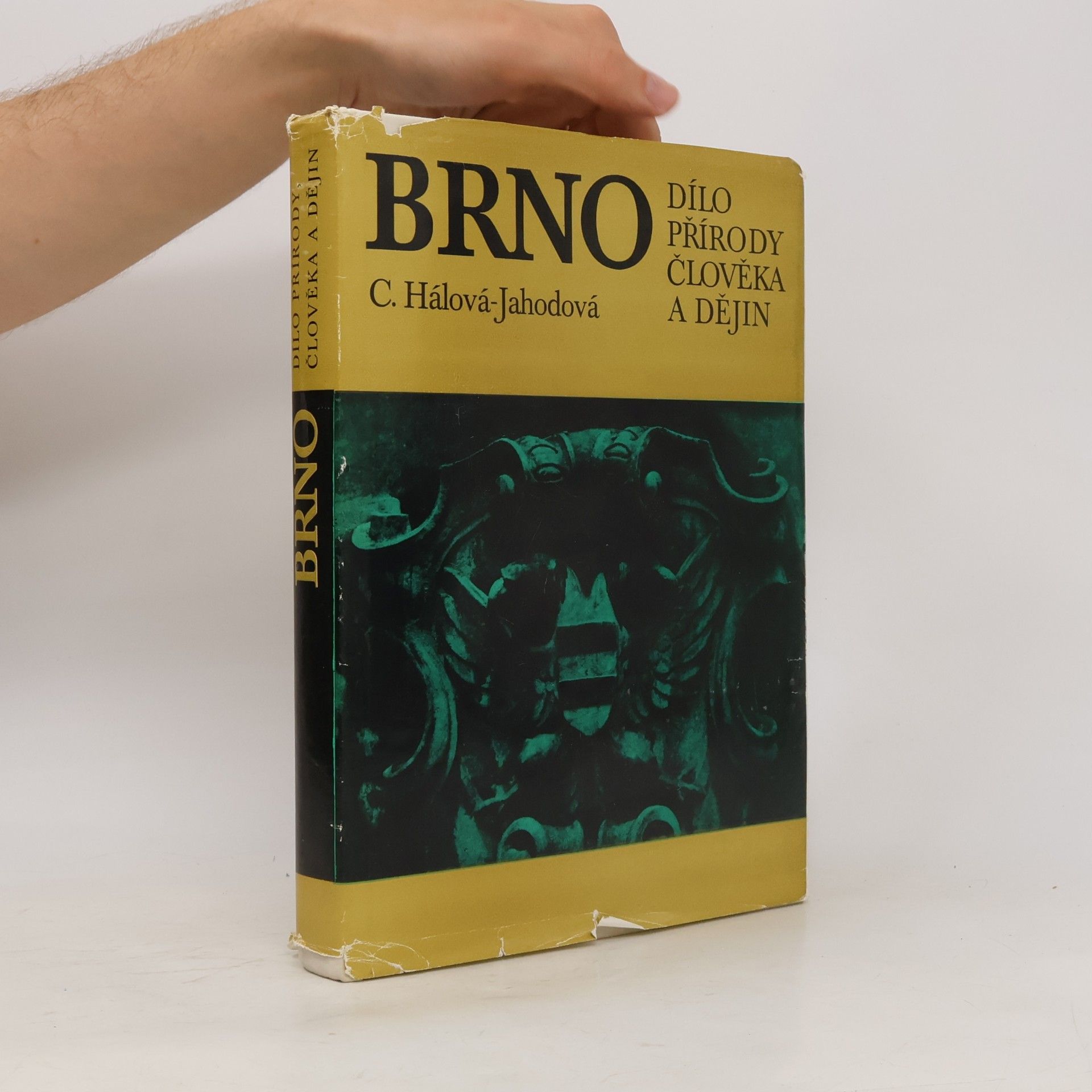 C. Hálová-Jahodová Brno. Dílo přírody, člověka a dějin