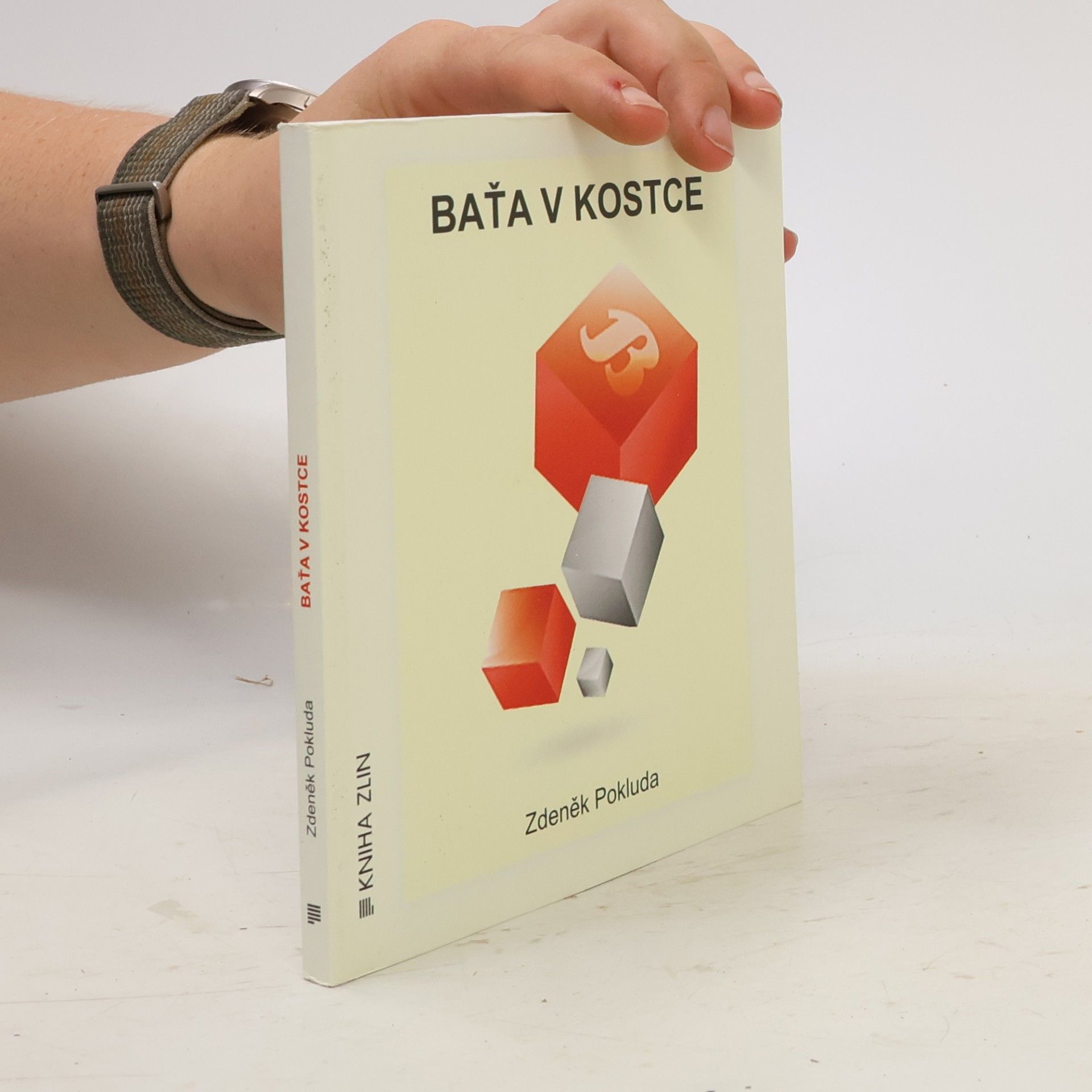 Zdeněk Pokluda Baťa v kostce
