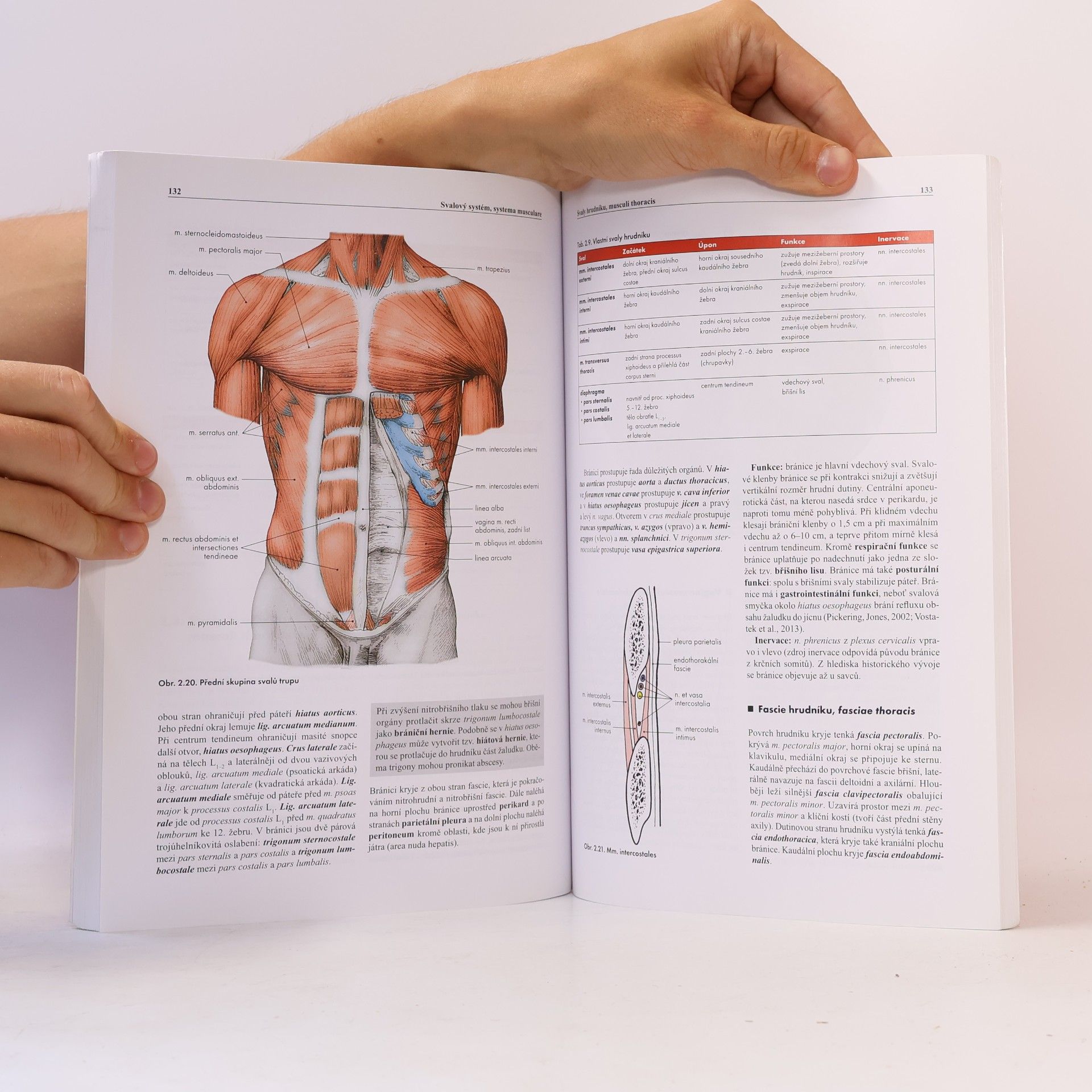 Miloš Grim Základy anatomie. 1., Obecná anatomie a pohybový systém