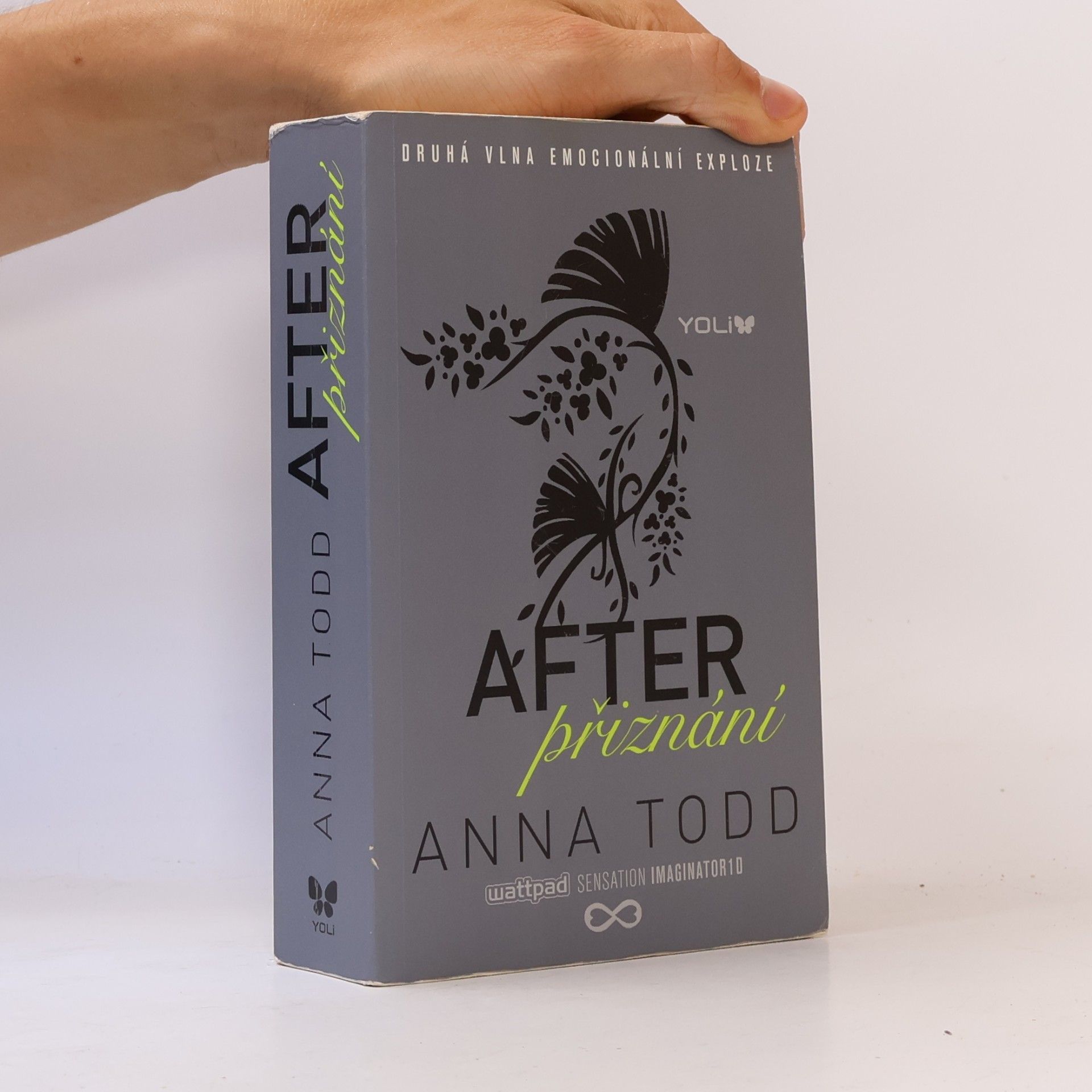 Anna Todd After. Přiznání