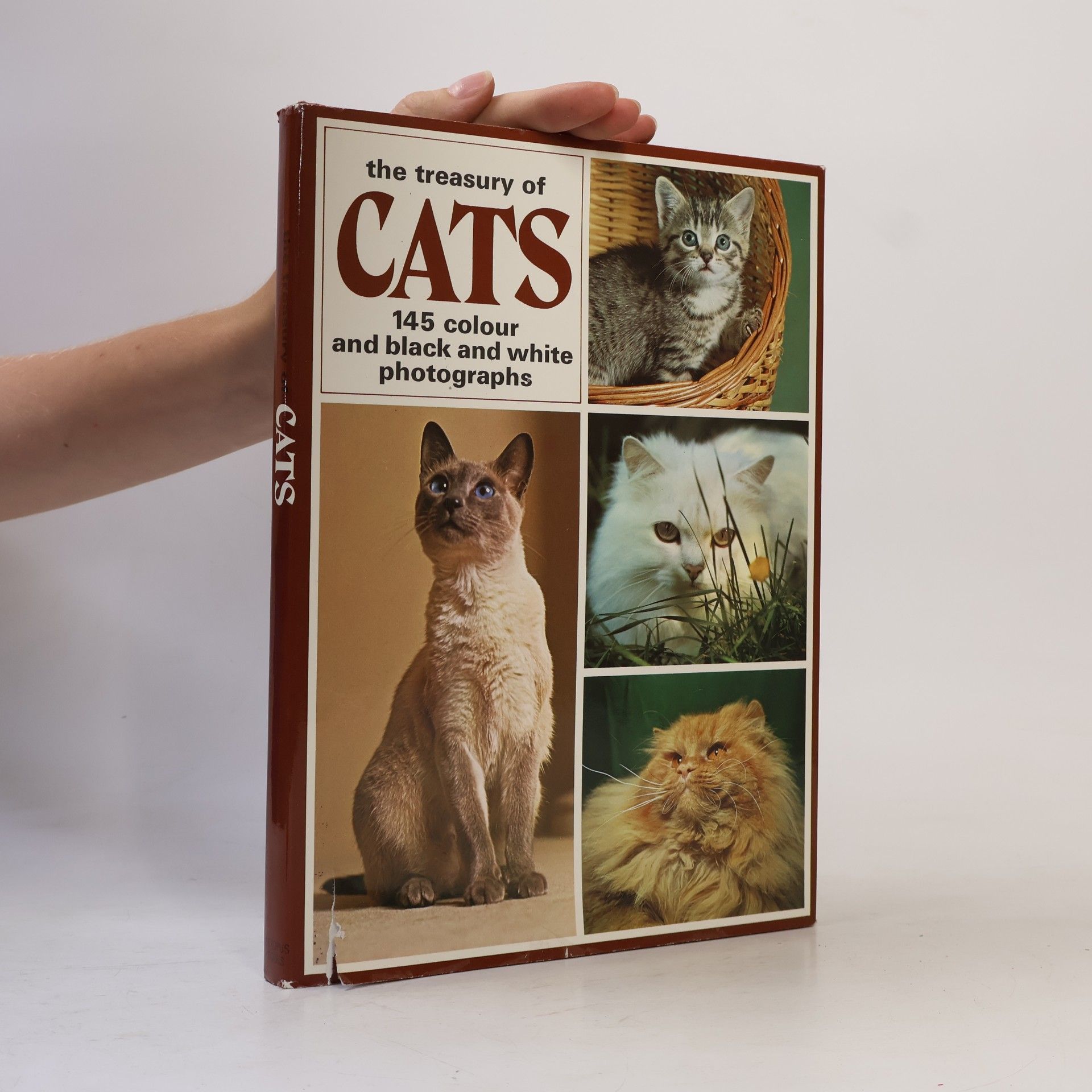 Richard Patrick The treasury of cats