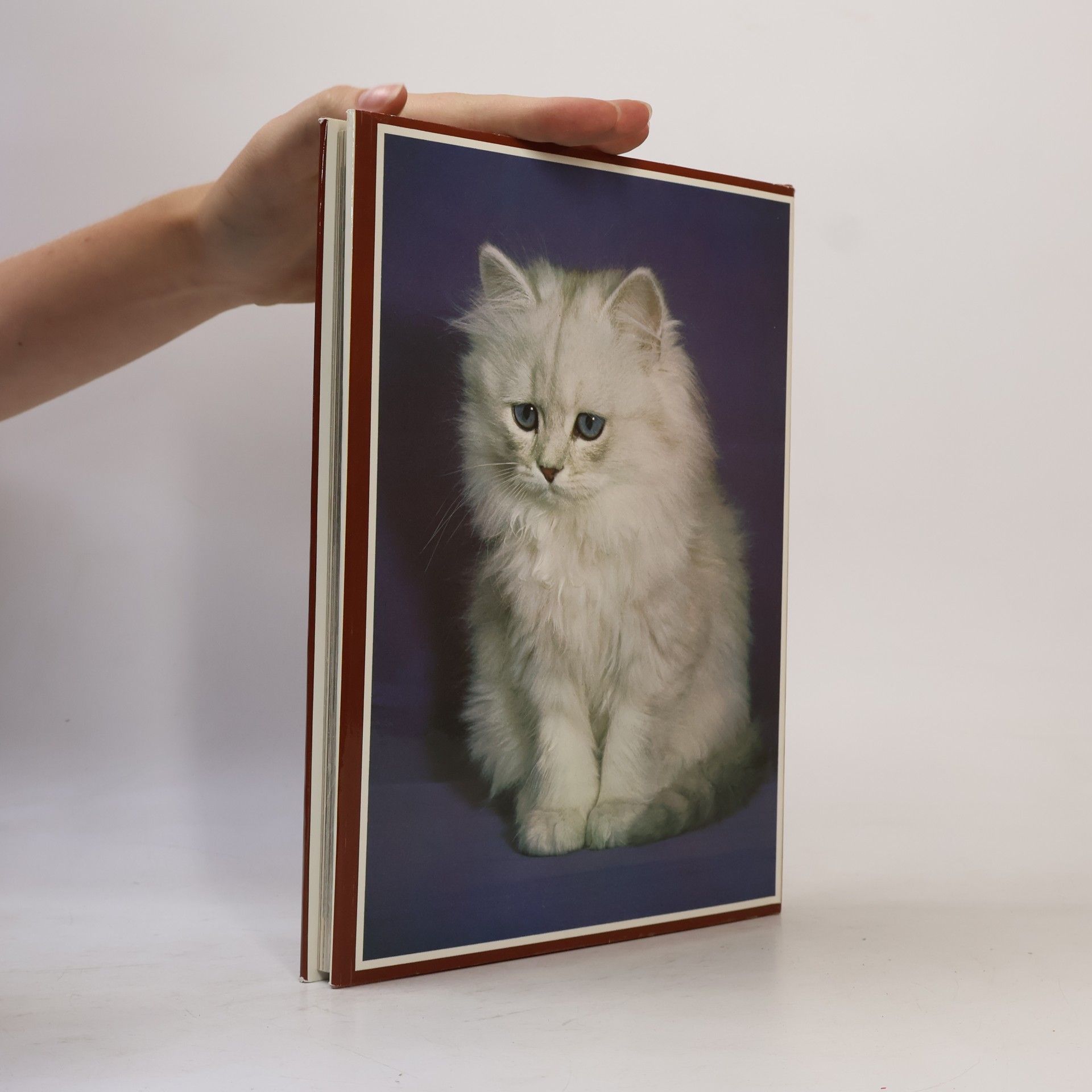 Richard Patrick The treasury of cats