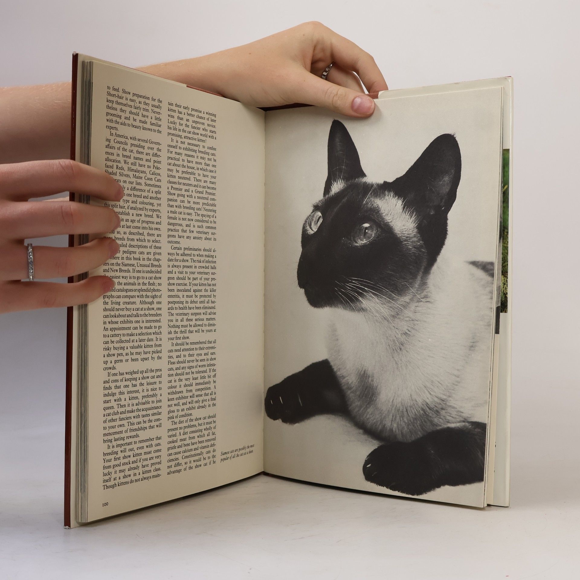 Richard Patrick The treasury of cats