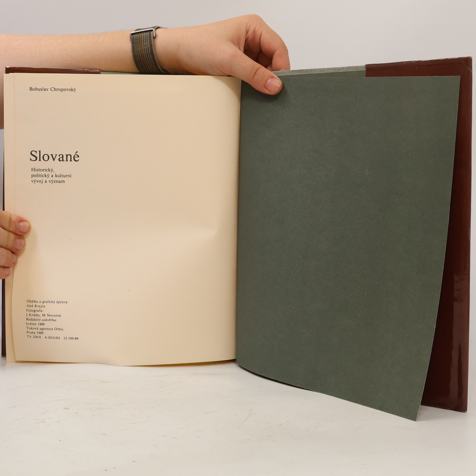 Bohuslav Chropovský Slované. Historický, politický a kulturní vývoj a význam