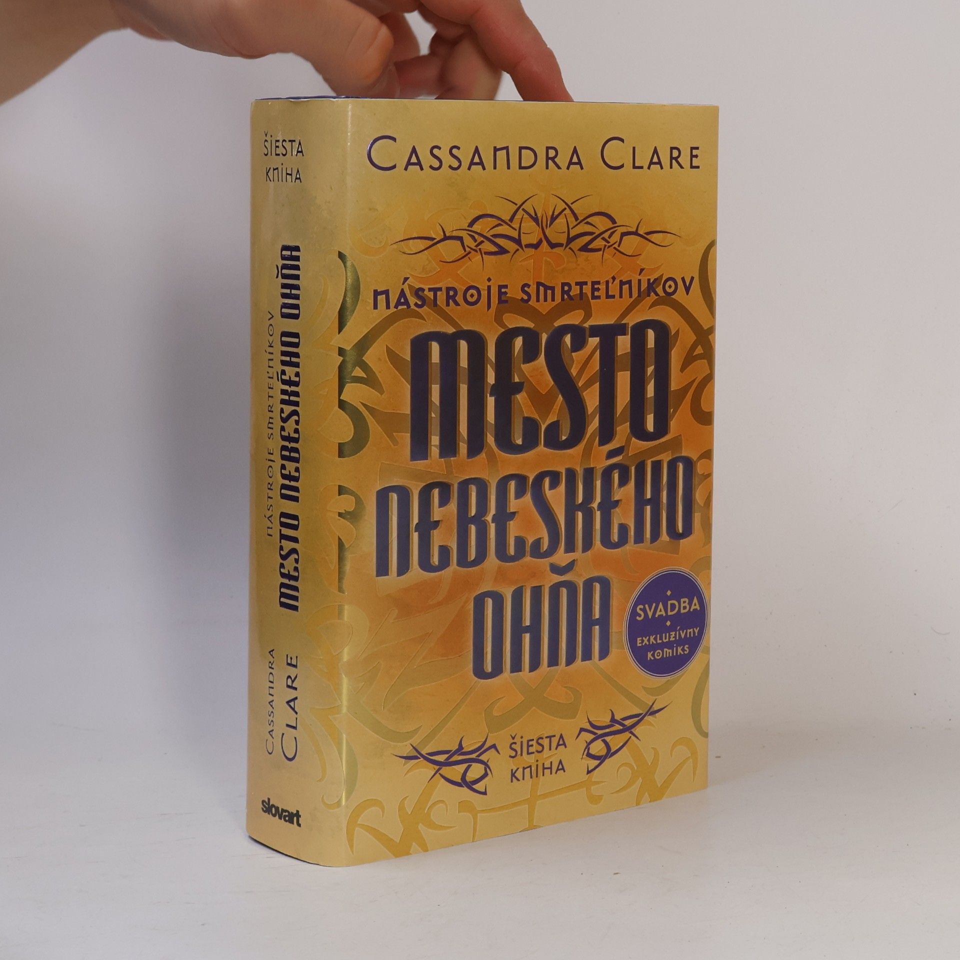 Cassandra Clare Mesto nebeského ohňa