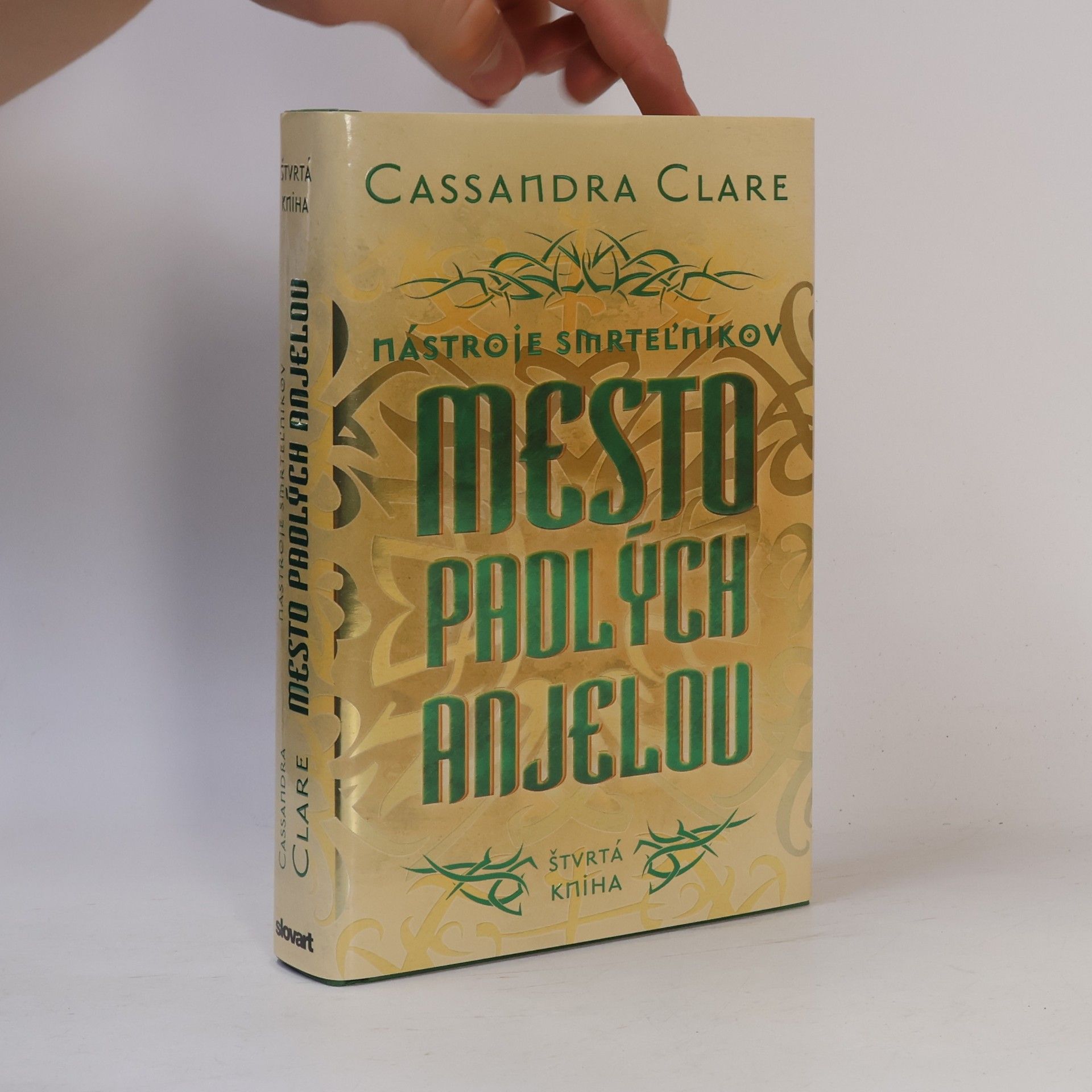 Cassandra Clare Mesto padlých anjelov