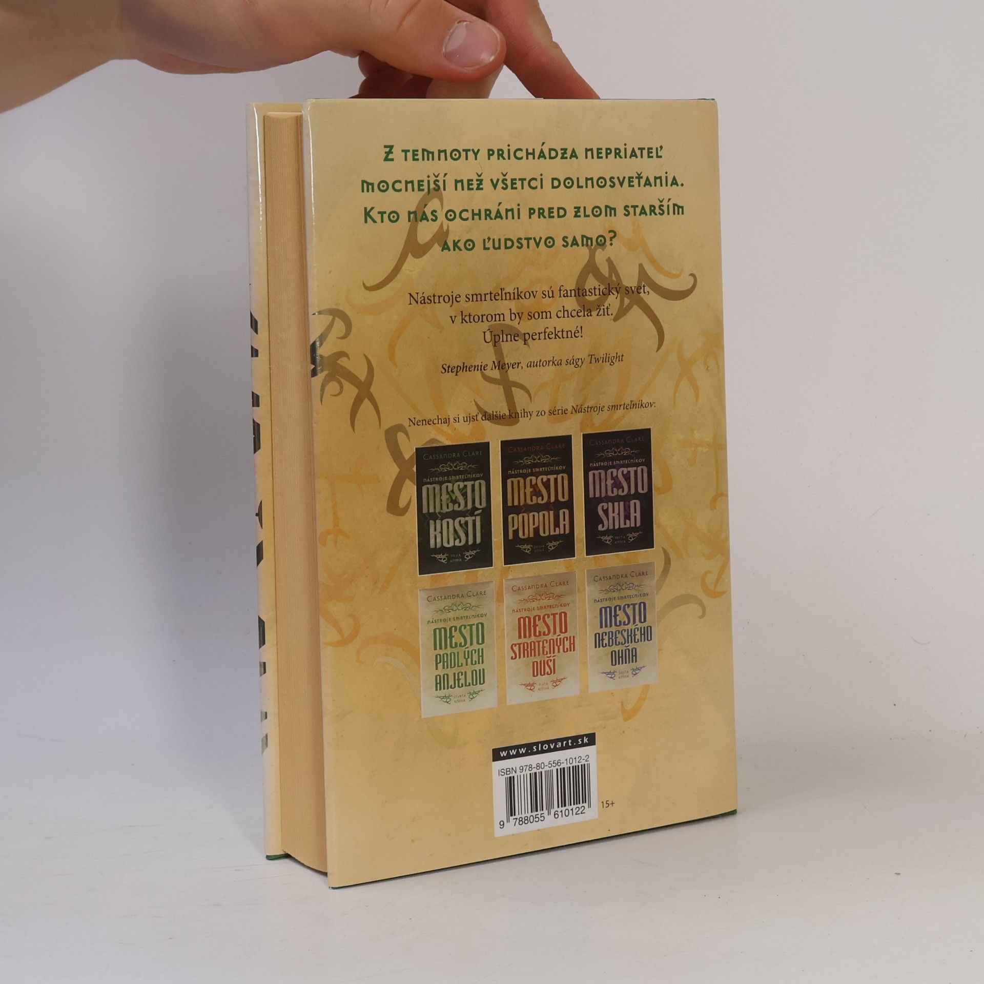 Cassandra Clare Mesto padlých anjelov