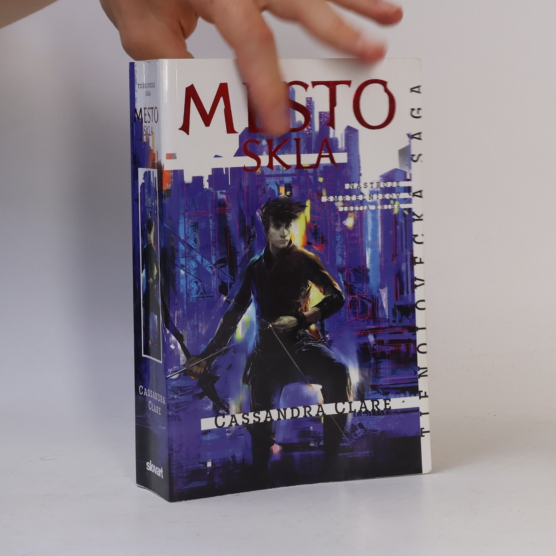 Cassandra Clare Mesto skla