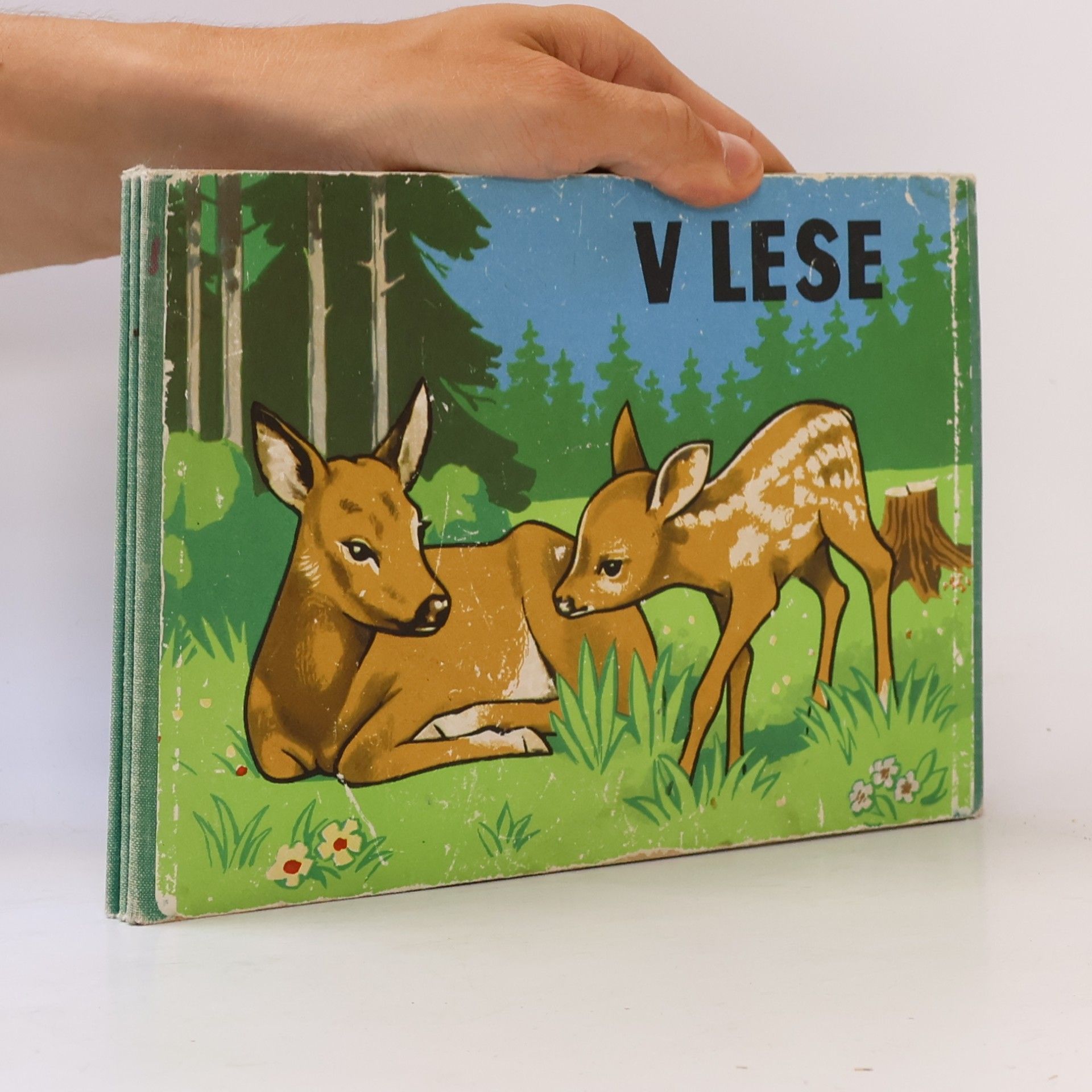 Autores varios V lese
