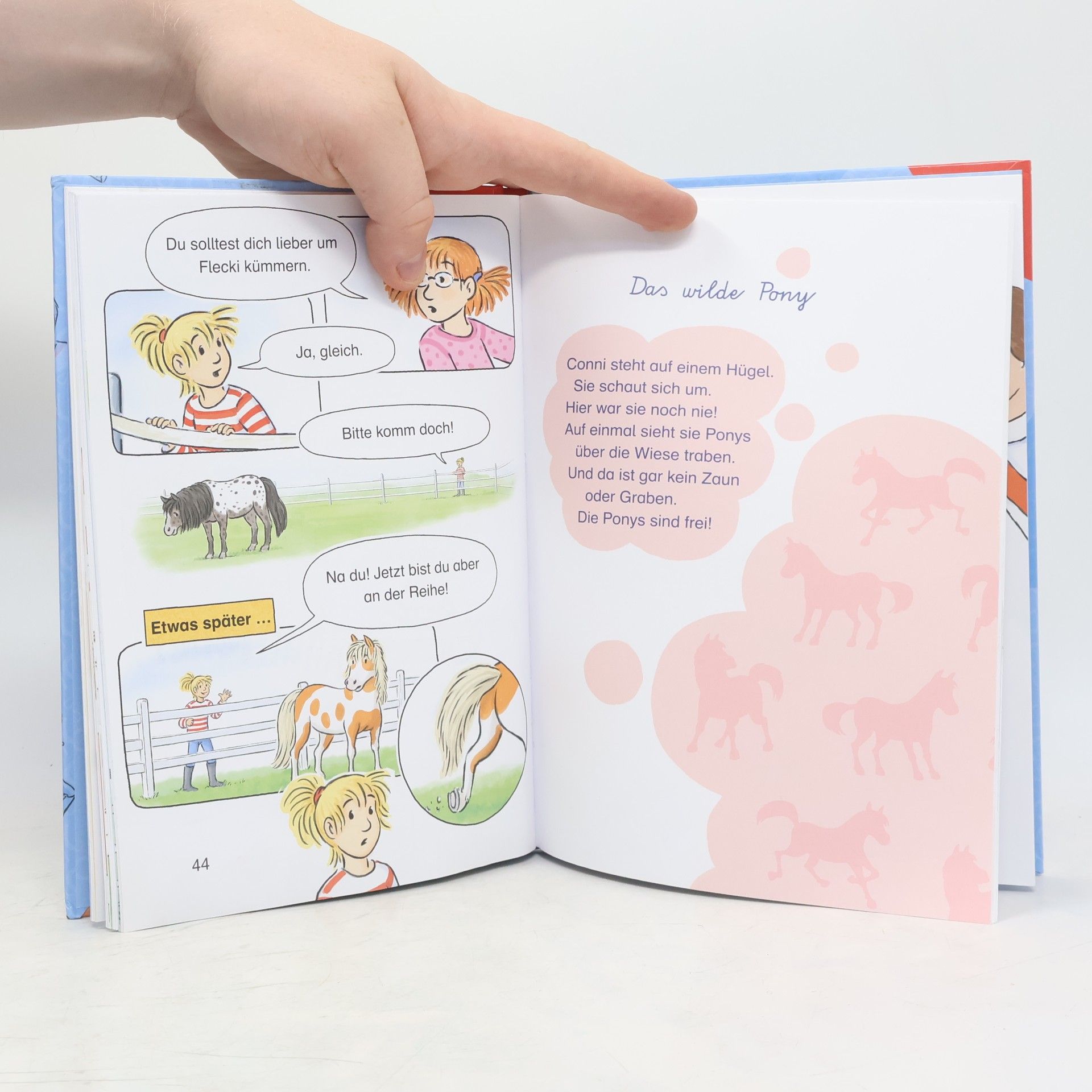 Julia Boehme Conni und das wilde Pony