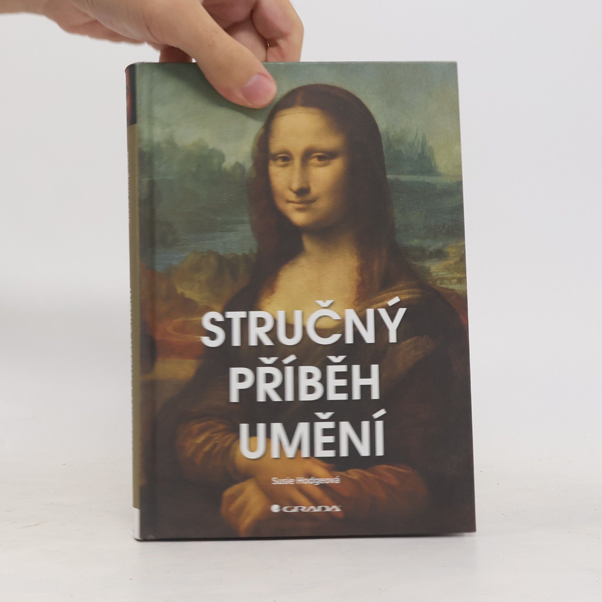 Susie Hodge Stručný příběh umění