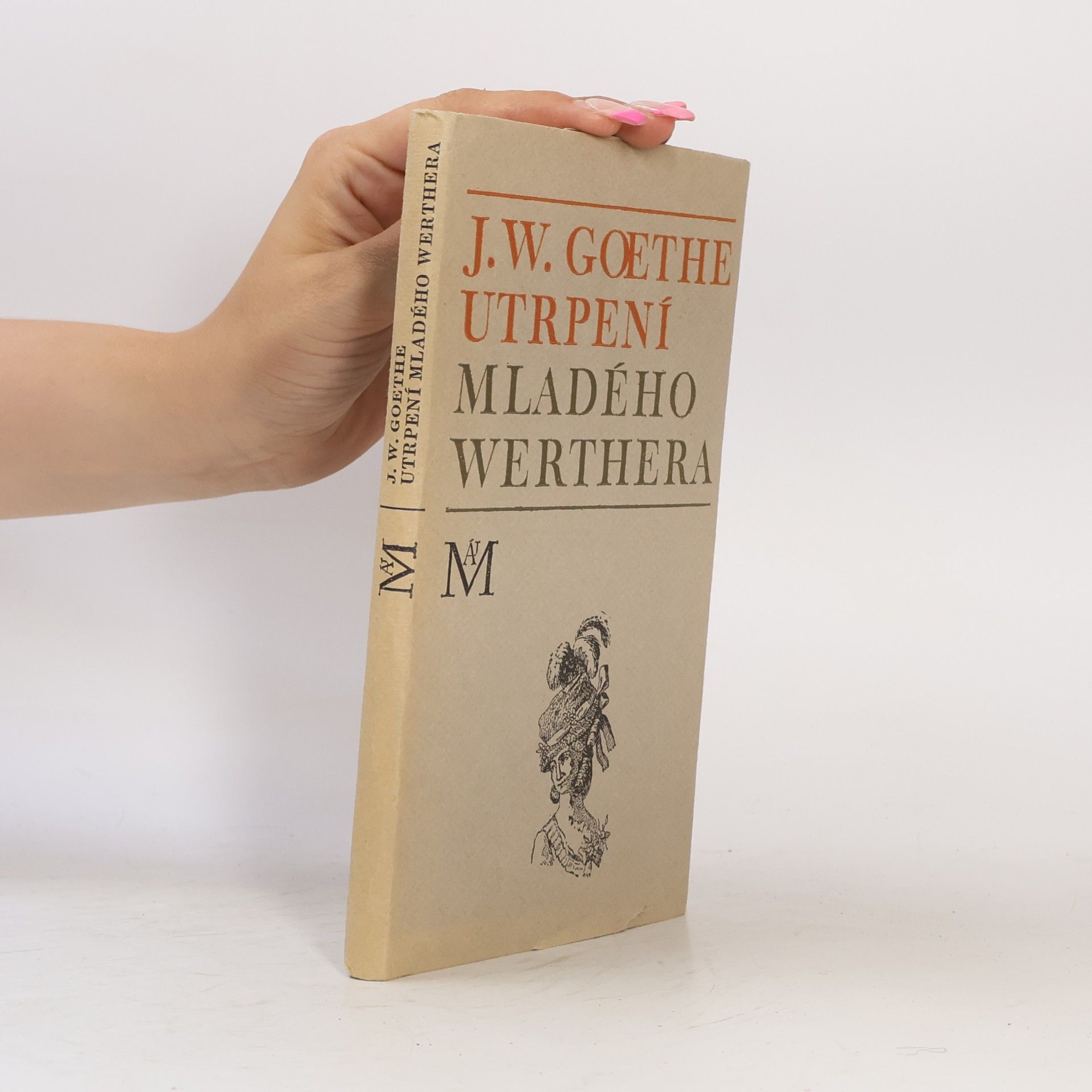 Johann Wolfgang von Goethe Utrpení mladého Werthera