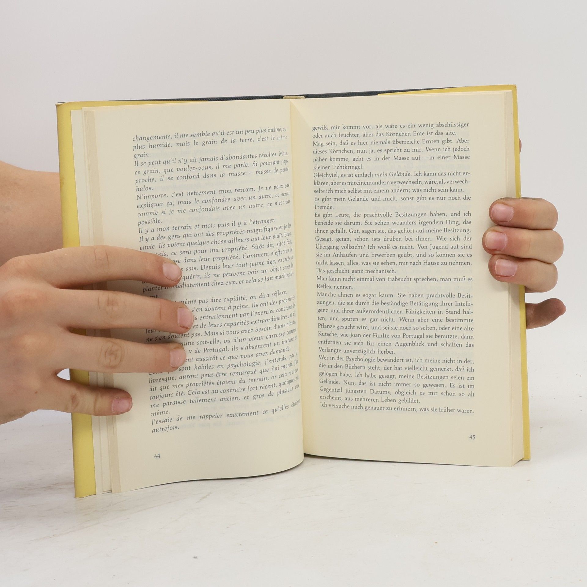 Henri Michaux In der Gesellschaft der Ungeheuer