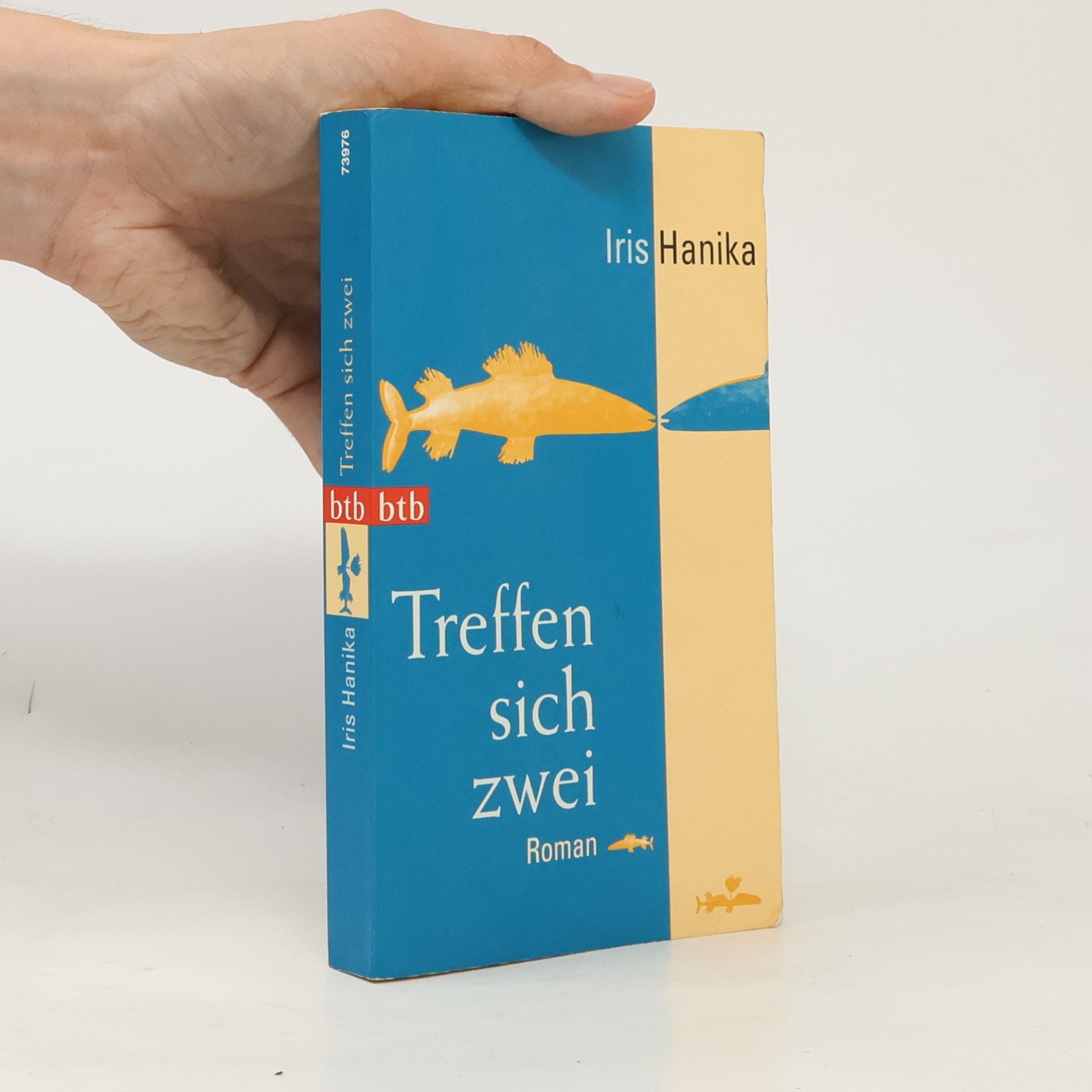 Iris Hanika Treffen sich zwei