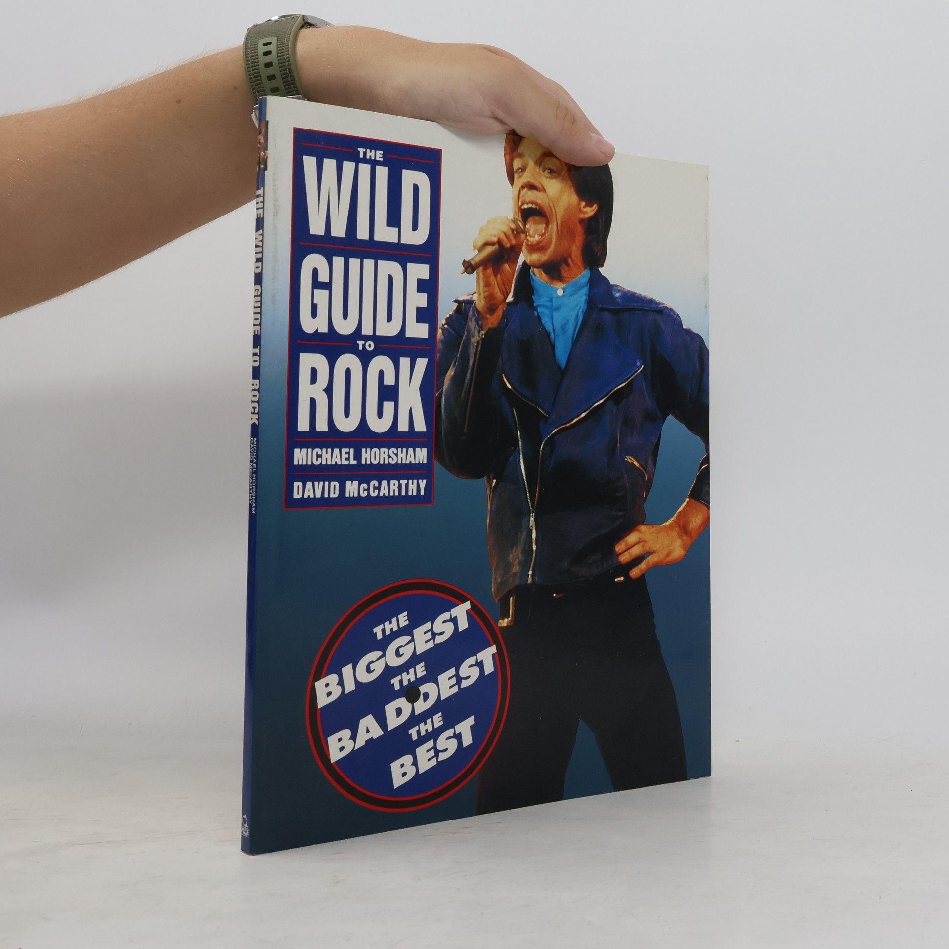 David McCarthy The wild guide to rock