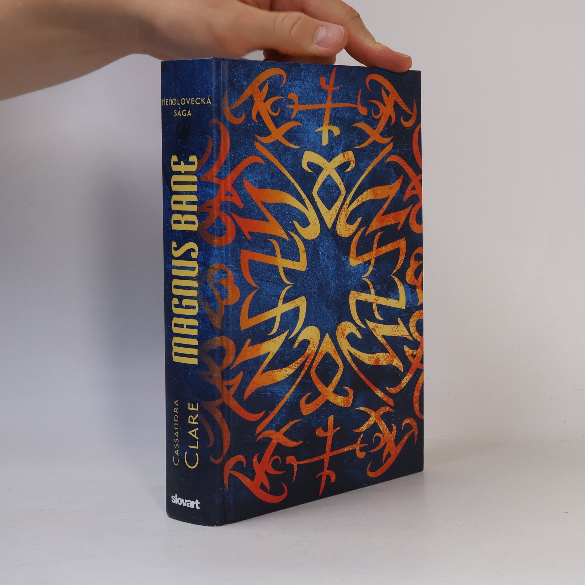 Cassandra Clare Magnus Bane - Zápisky veľkobosoráka
