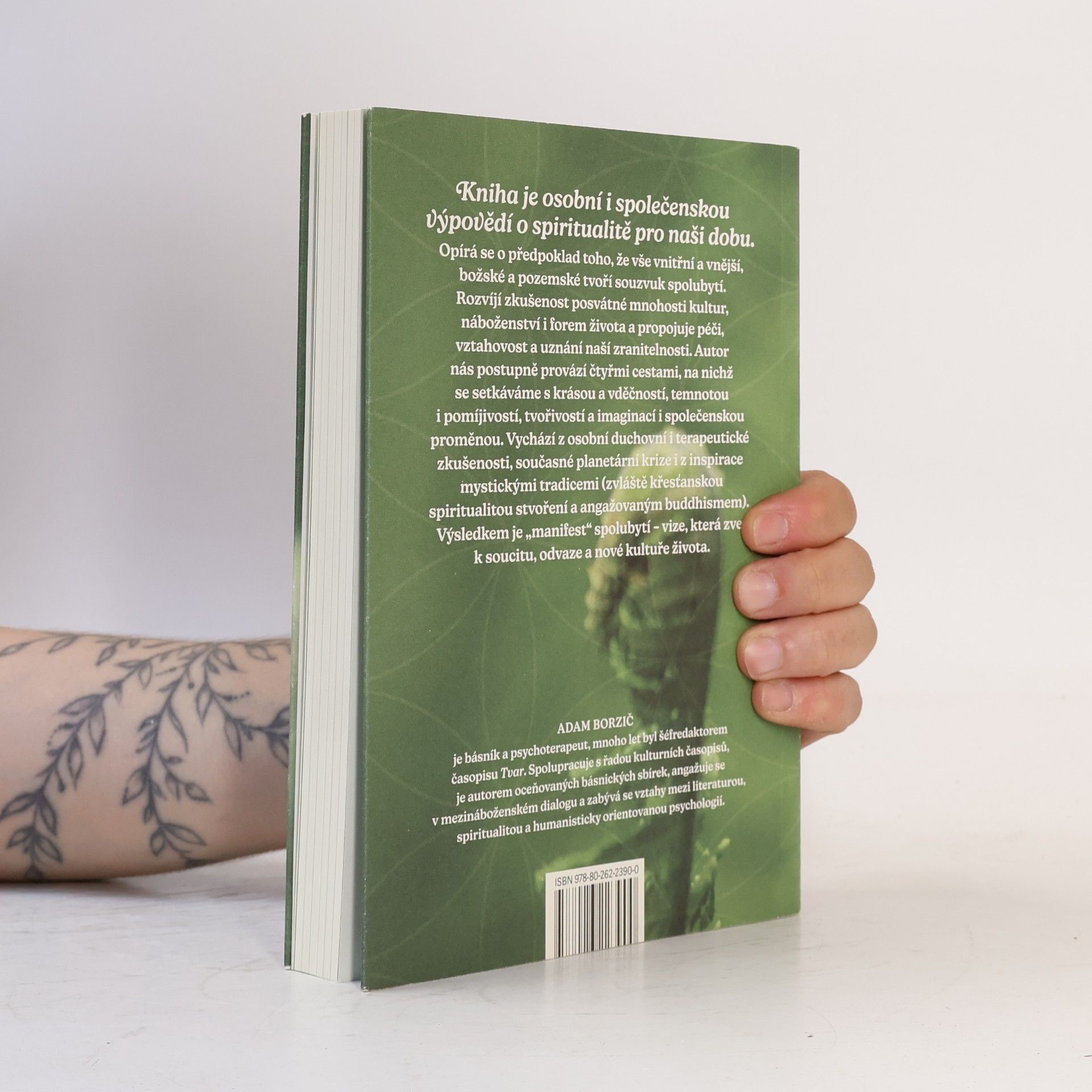 Adam Borzič Spiritualita posvátné Země: Divoká cesta spolubytí