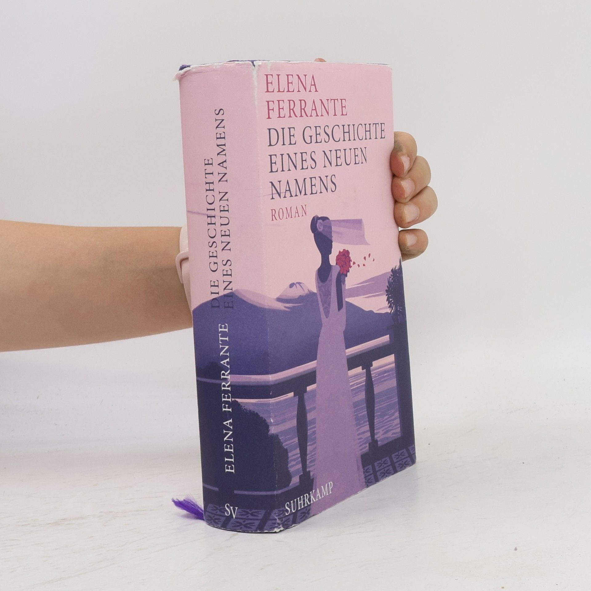 Elena Ferrante Die Geschichte eines neuen Namens: Jugendjahre