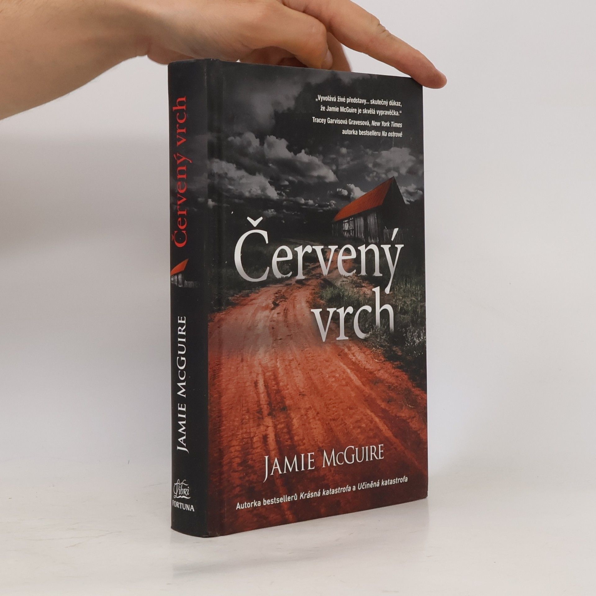 Jamie McGuire Červený vrch