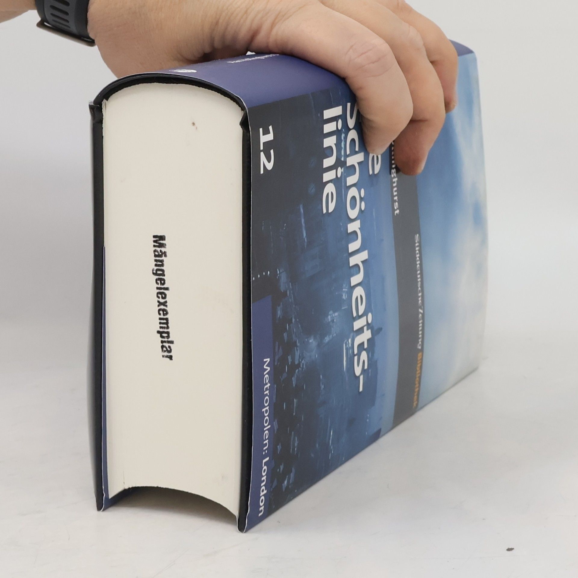 Alan Hollinghurst Die Schönheitslinie