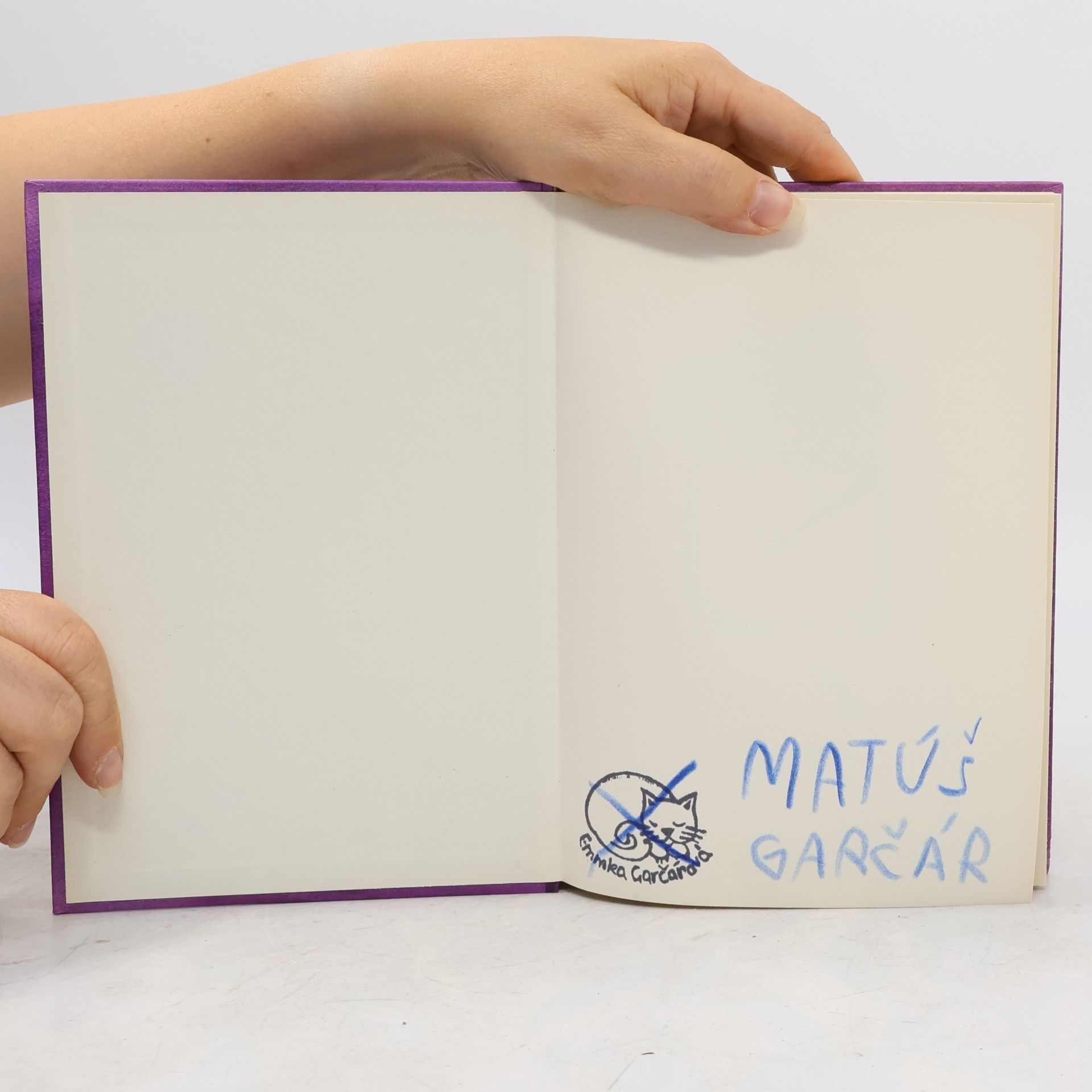 Jeff Kinney Denník odvážneho bojka 5. Krutá pravda