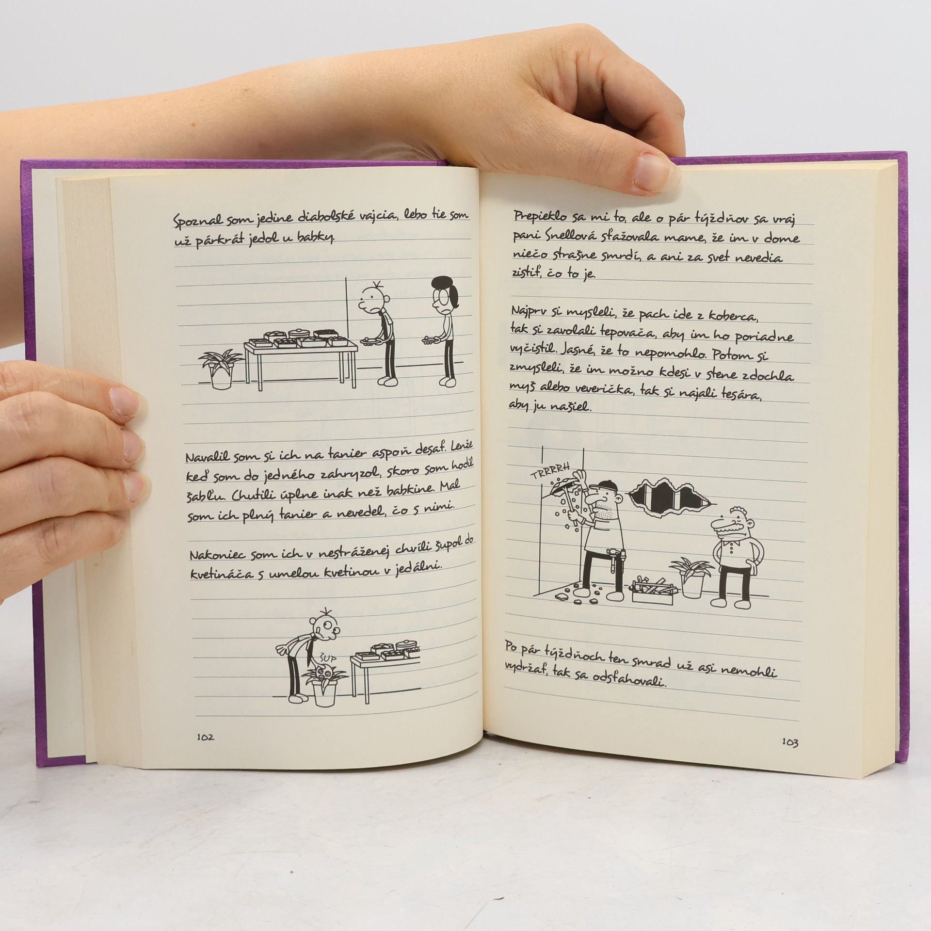 Jeff Kinney Denník odvážneho bojka 5. Krutá pravda